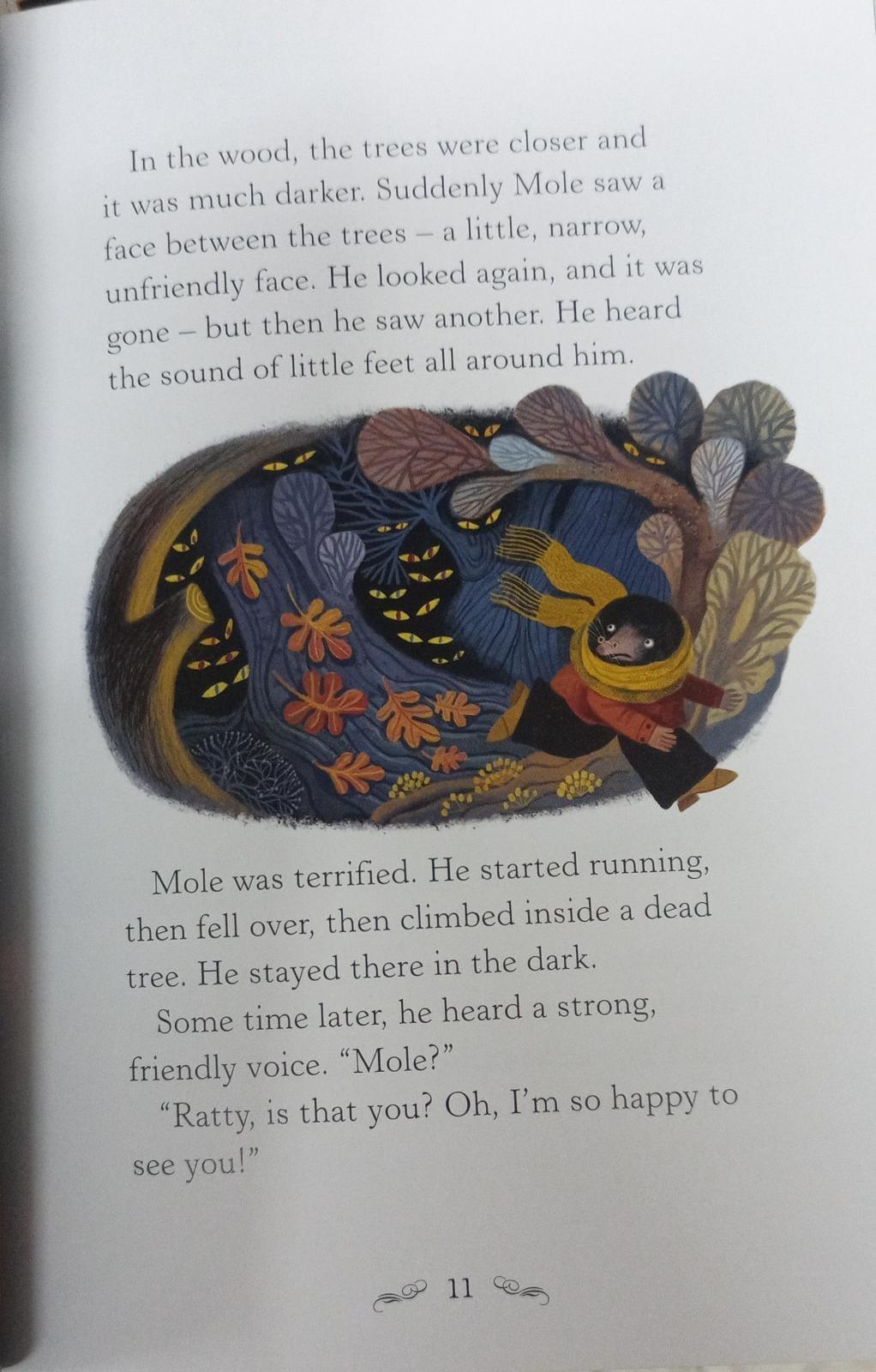 Usborne Story Books - The Wild in the Willows - Level 2 - Spectrawide Bookstore
