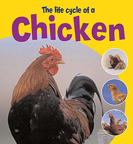 The Life Cycles Of A Chicken - دورات الحياة - من البذور إلى عباد الشمس