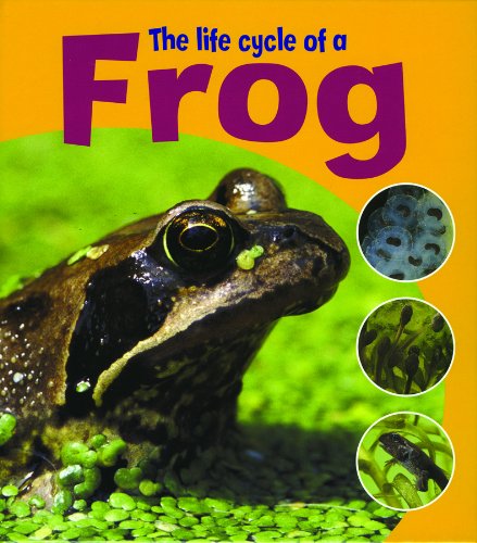 The Life Cycles Of A Frog - دورة حياة الضفدع
