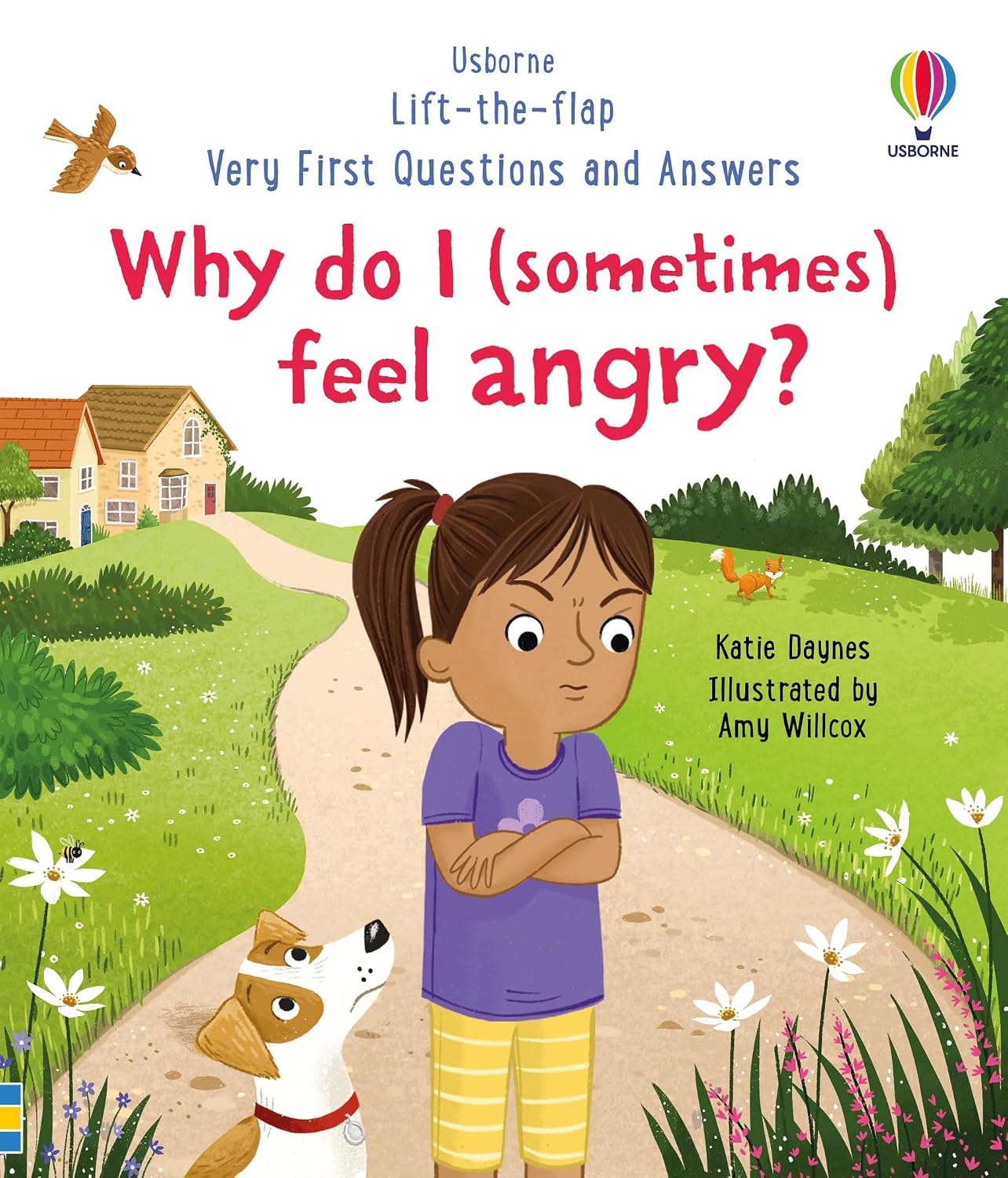 Usborne Lift The Flap: Very First Questions and Answers - Why do I (sometimes) feel angry?