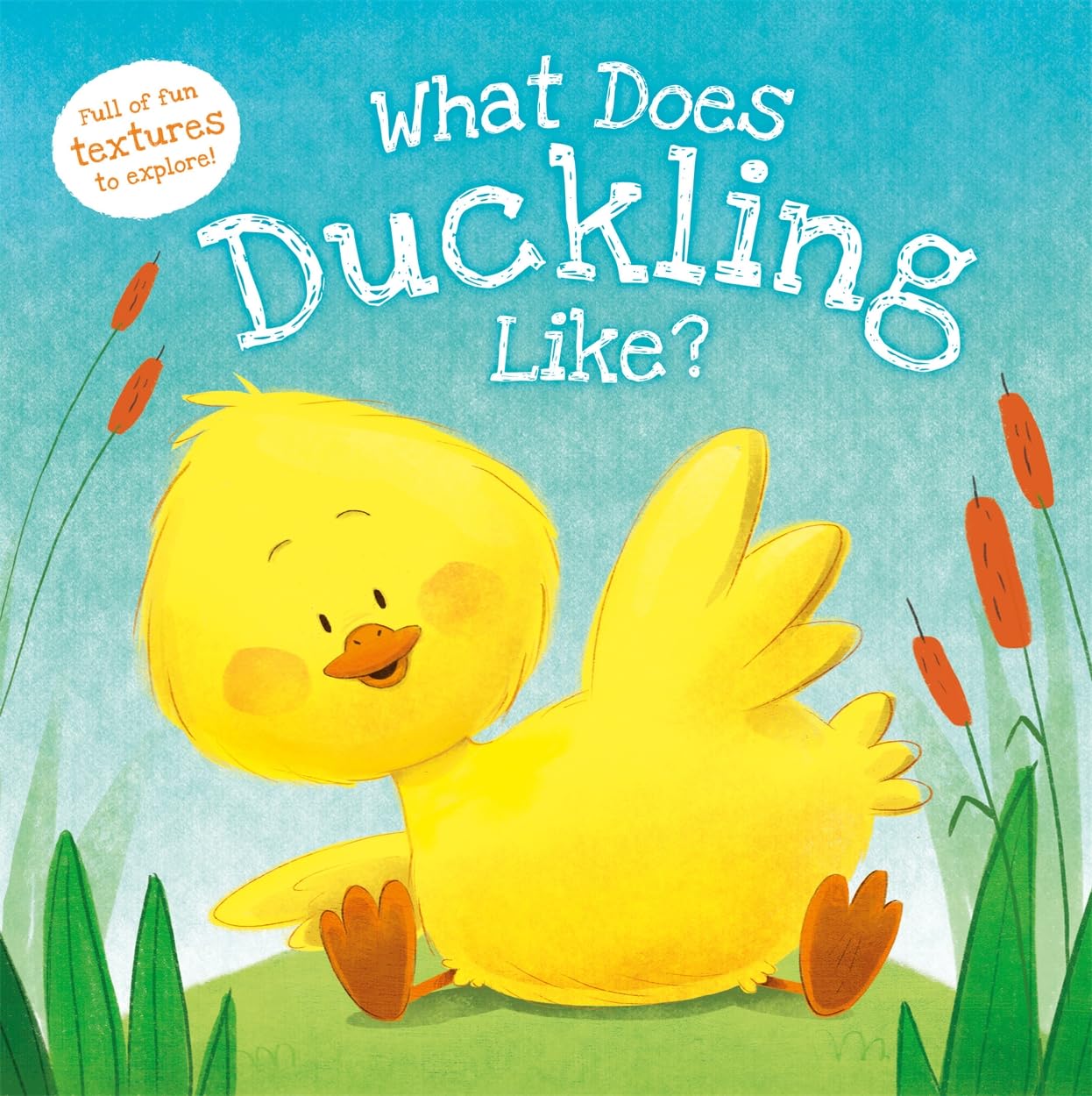 What Does Duckling Like?: Touch & Feel Board Book - ماذا يحب البطة الصغيرة؟: كتاب لوحي للمس والشعور
