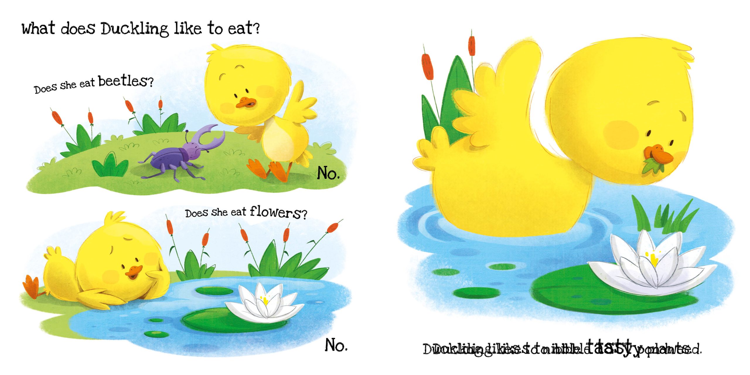 What Does Duckling Like?: Touch & Feel Board Book - ماذا يحب البطة الصغيرة؟: كتاب لوحي للمس والشعور