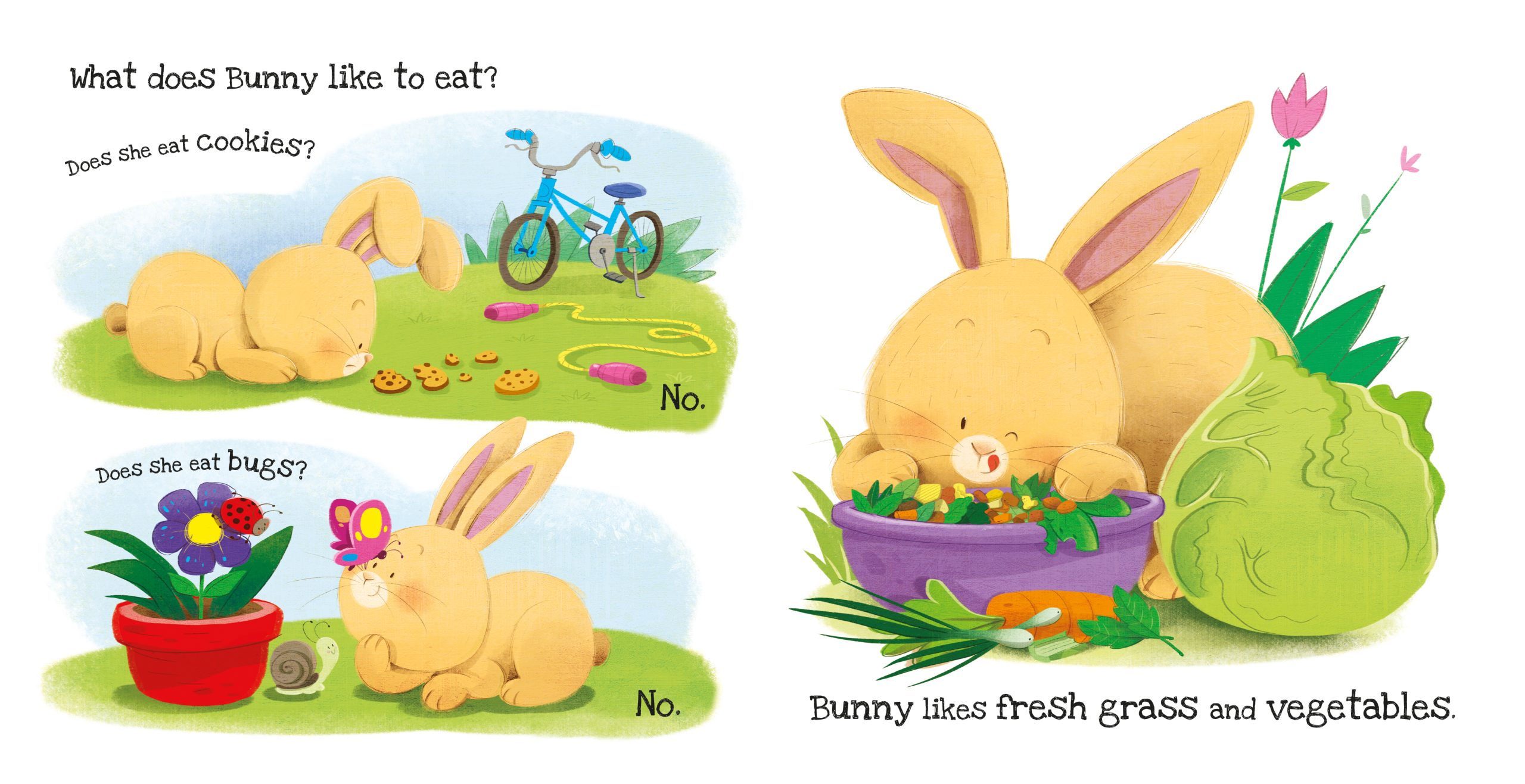 What Does Bunny Like?: Touch and Feel Board Book - ماذا يحب الأرنب؟: كتاب لمسي للرضّع