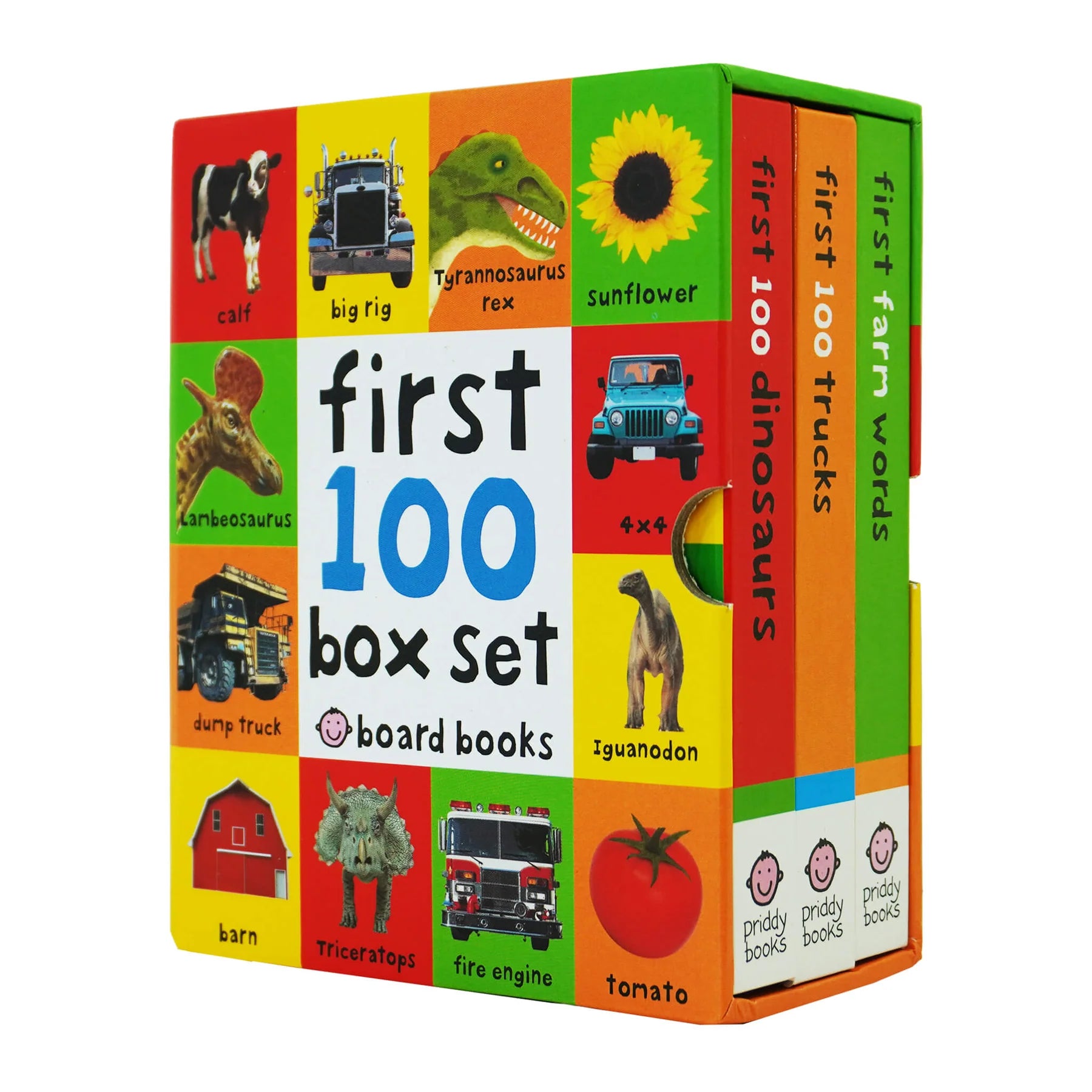 First 100 series 3 Books  Children Collection Box Set - مجموعة "أول 100" من 3 كتب للأطفال (سلسلة صندوقية)