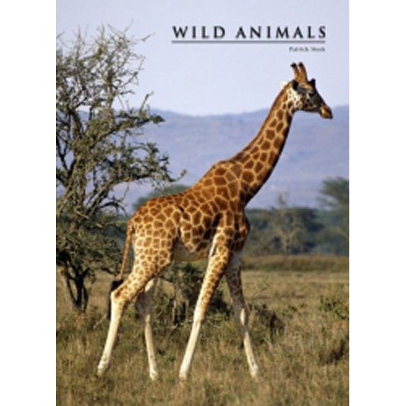 WILD ANIMALS - Large Book - الحيوانات البرية - كتاب كبير