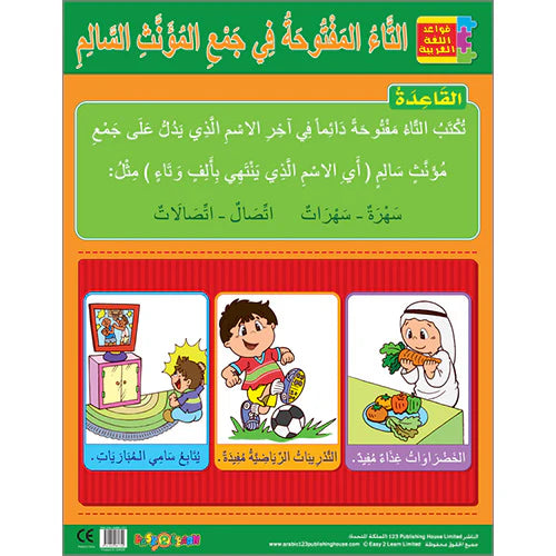 Arabic 26 - The Ta in Regular Feminine Plurals التاء المفتوحة في جمع المؤنث السالم