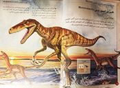 الديناصورات مذهلة - Amazing Dinosaurs
