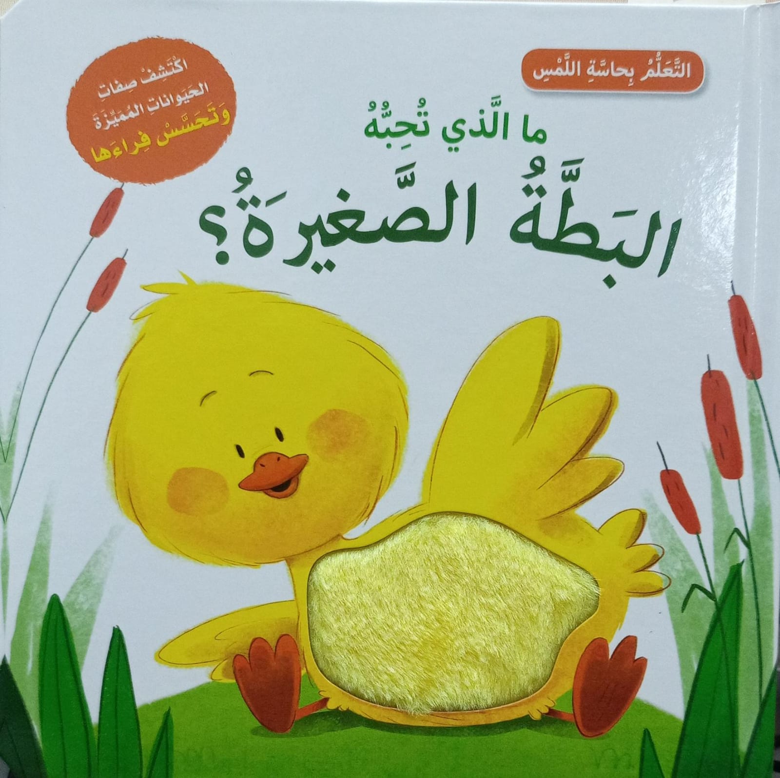 التعلم عن طريق اللمس - ماذا تحب ليتل داك؟ - التعلم عن طريق اللمس - ماذا تحب ليتل داك؟ 