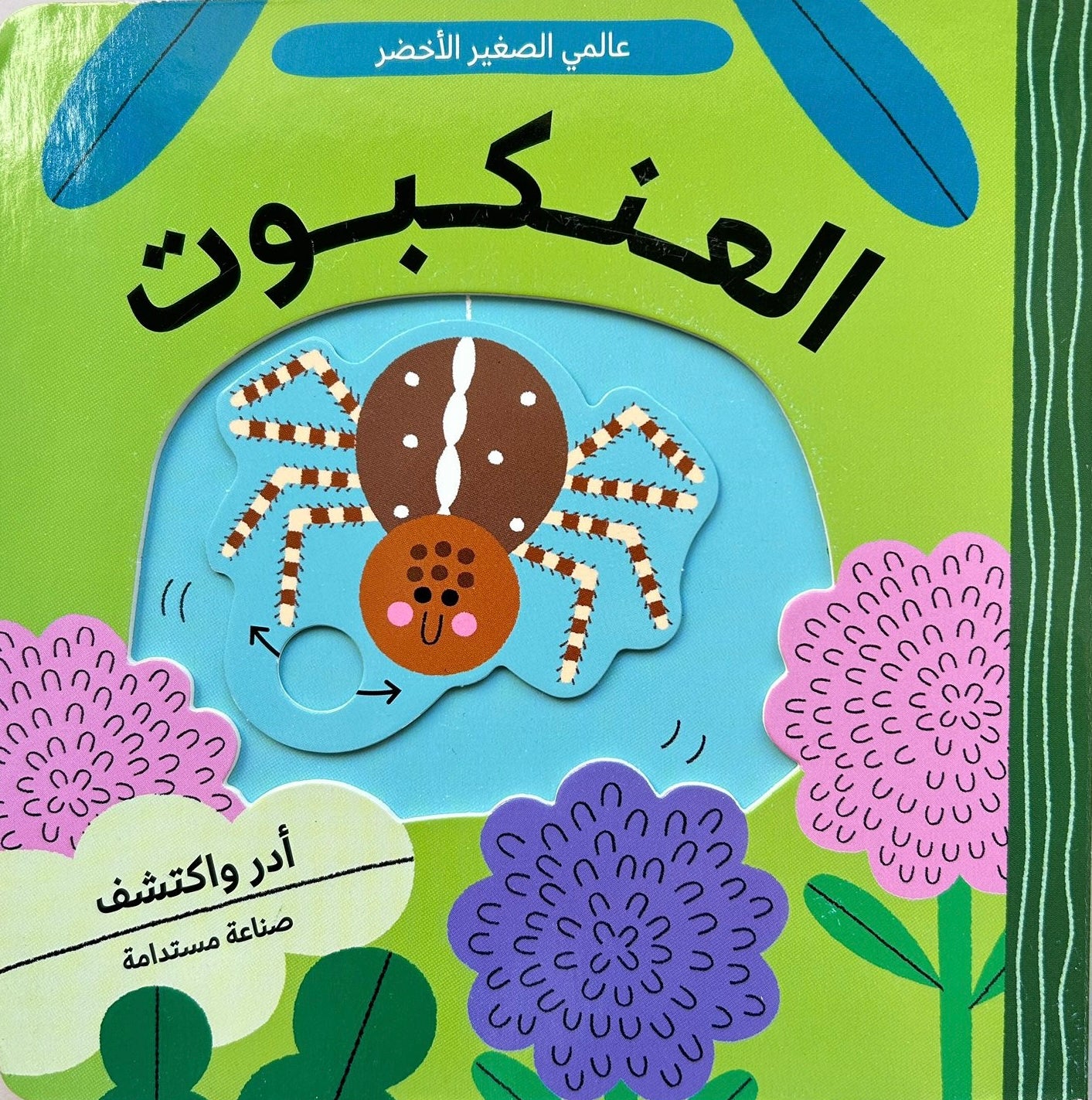 عالم أخضر صغير: العنكبوت - Little Green World: The Spider