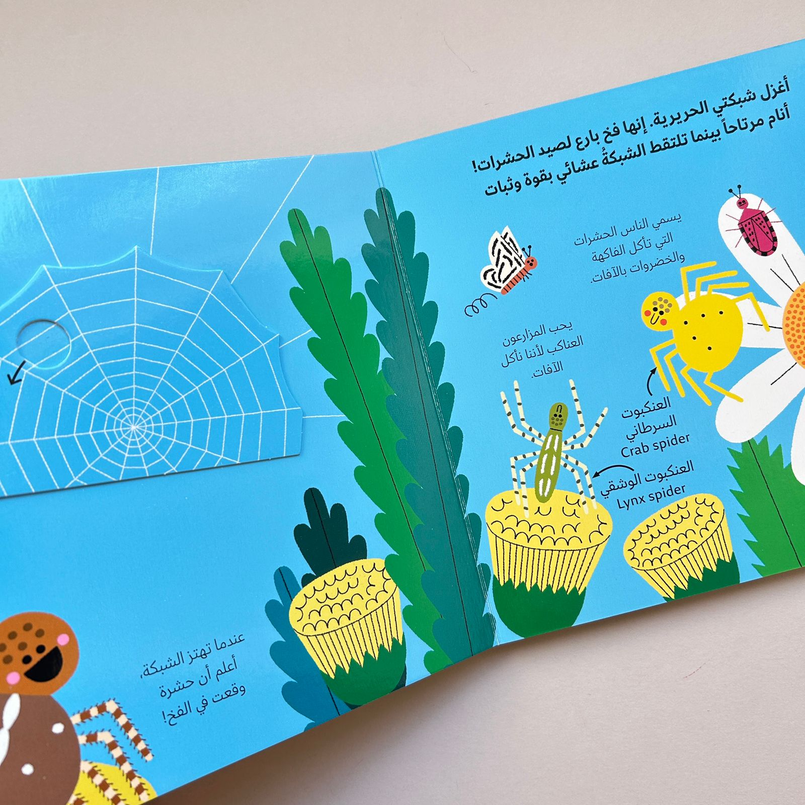 عالم أخضر صغير: العنكبوت - Little Green World: The Spider