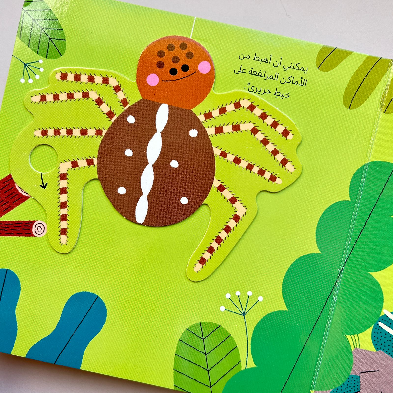 عالم أخضر صغير: العنكبوت - Little Green World: The Spider