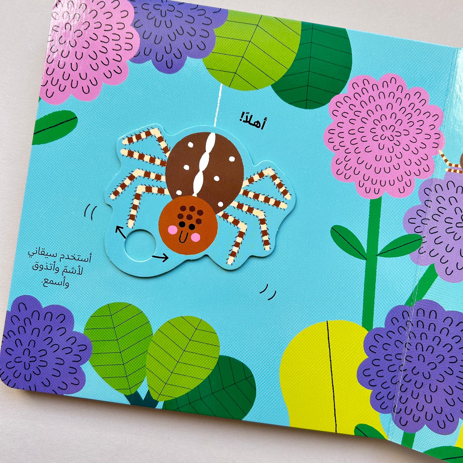 عالم أخضر صغير: العنكبوت - Little Green World: The Spider