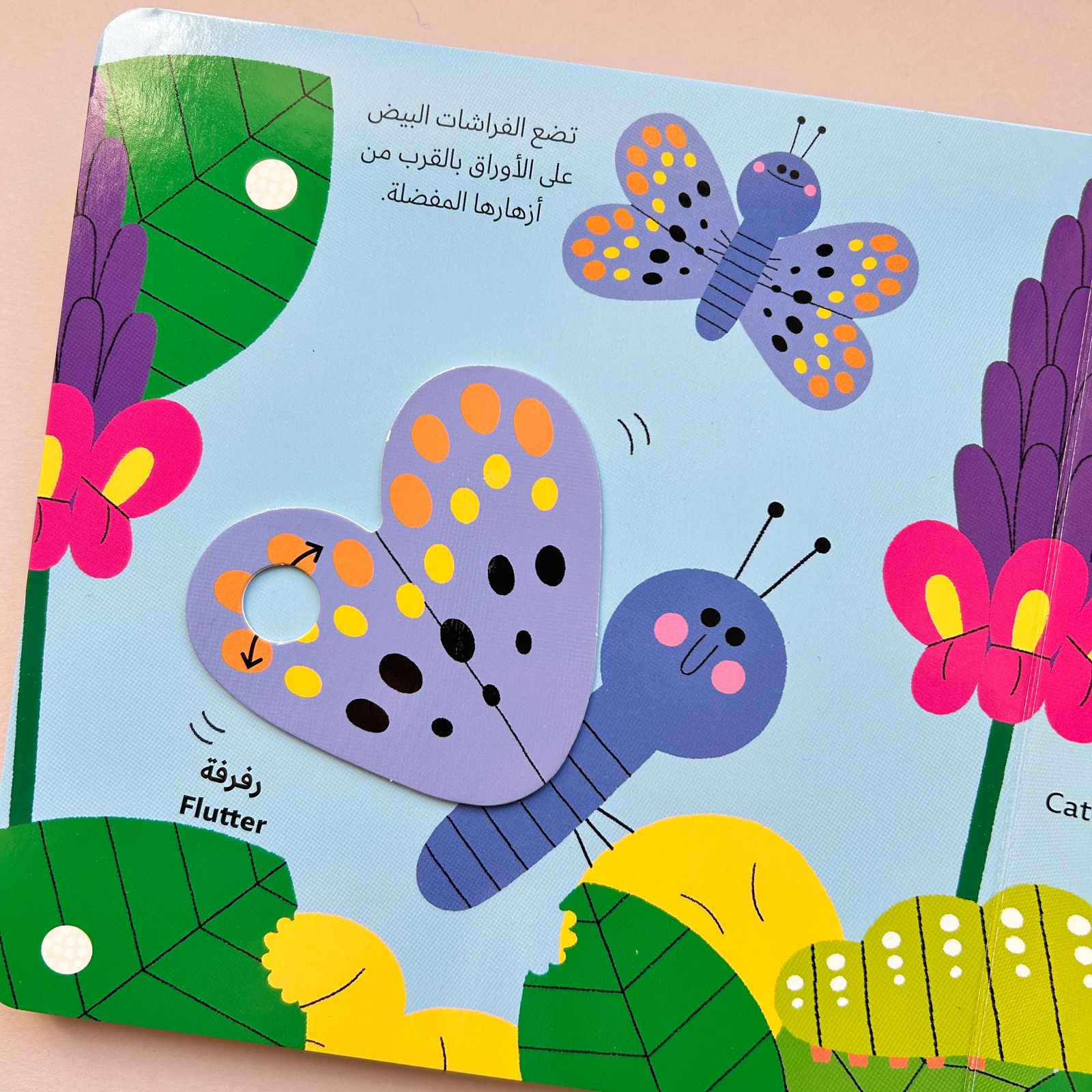 عالم أخضر صغير: الفراشة - Little Green World: Butterfly