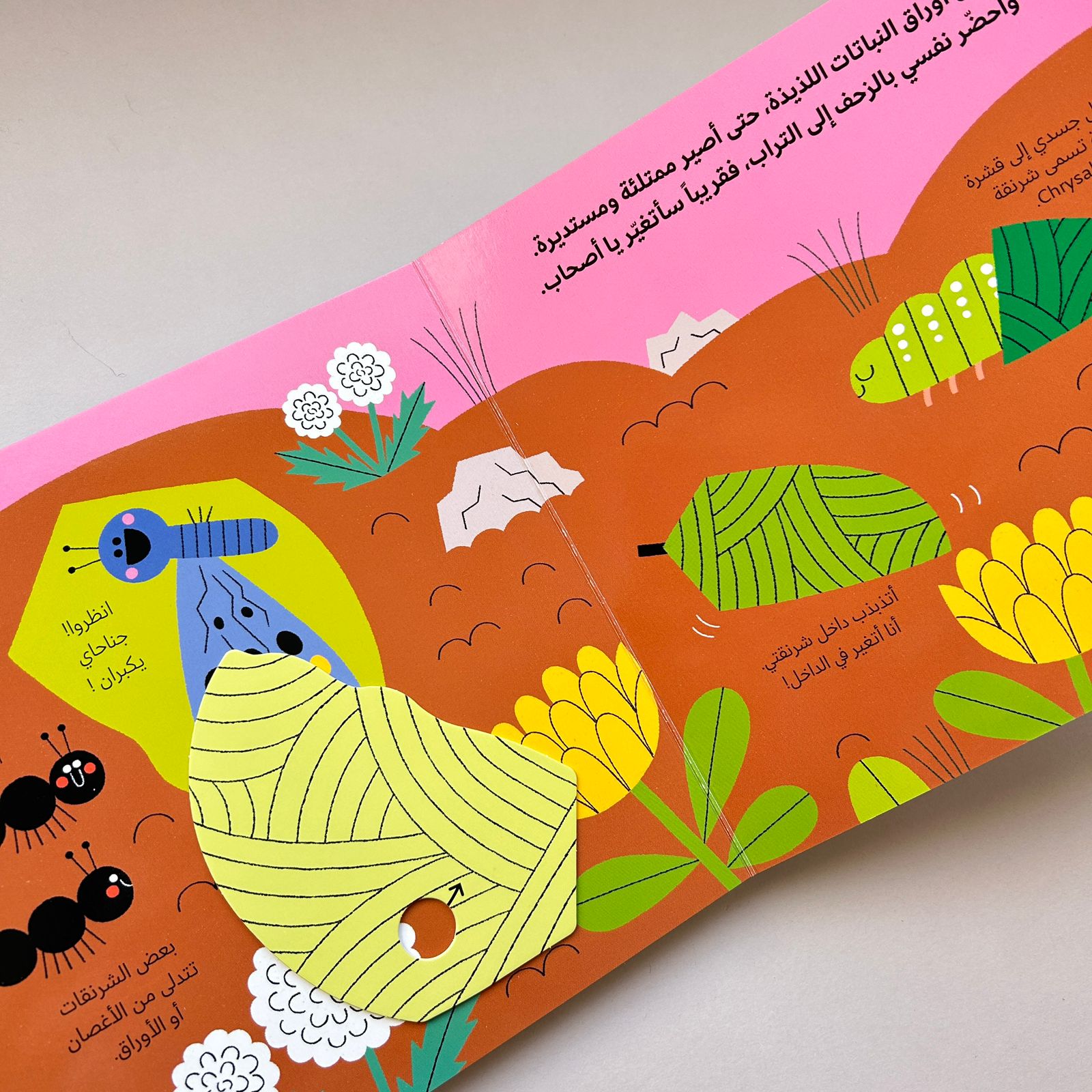 عالم أخضر صغير: الفراشة - Little Green World: Butterfly
