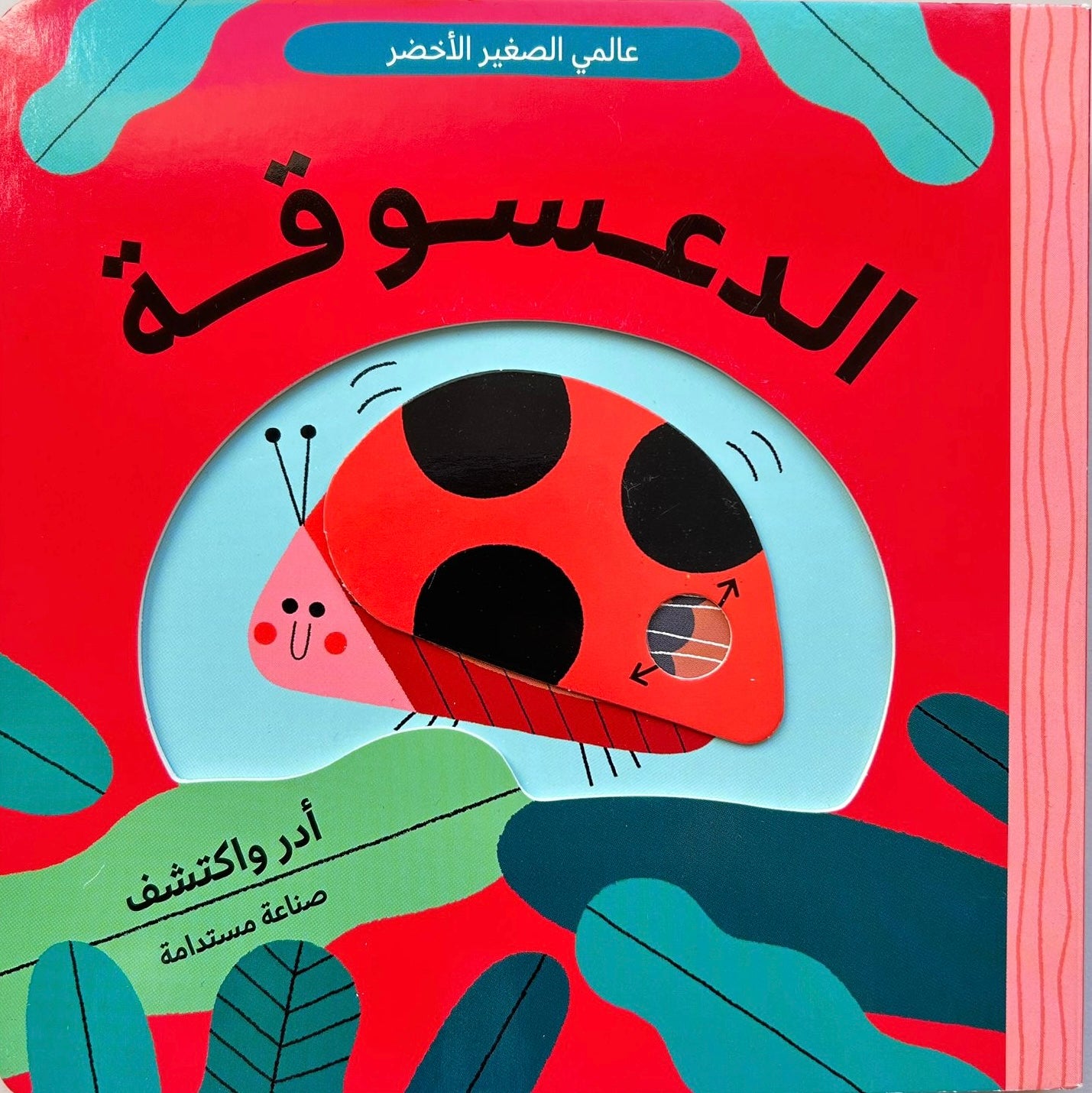 عالم أخضر صغير: الدعسوقة - Little Green World: The Ladybug
