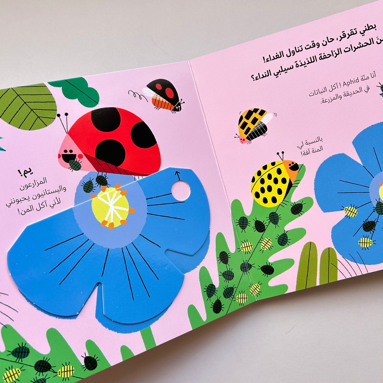 عالم أخضر صغير: الدعسوقة - Little Green World: The Ladybug