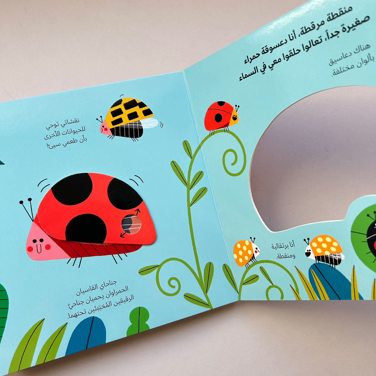عالم أخضر صغير: الدعسوقة - Little Green World: The Ladybug