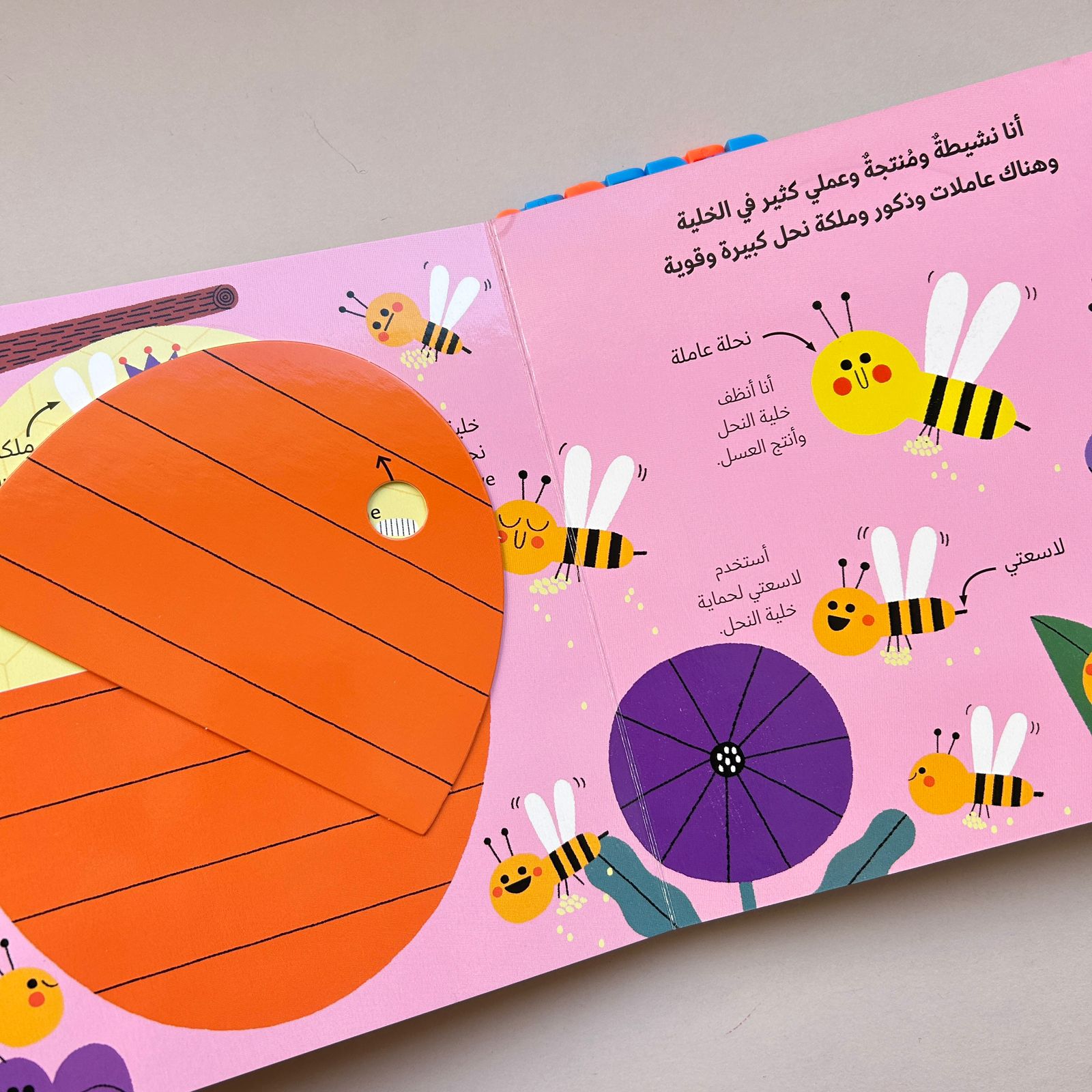 عالم أخضر صغير: النحلة - Little Green World: The bee