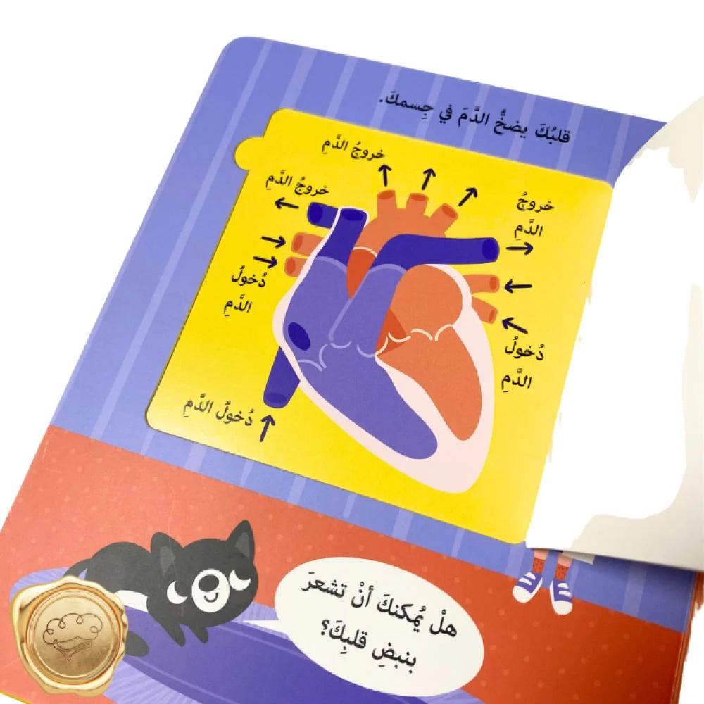 افتح النوافذ لنكتشف جسم الإنسان - Open The Window To Discover The Human Body