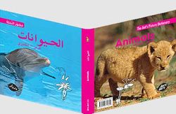 قاموس صور النمل - الحيوانات - إنجليزي عربي