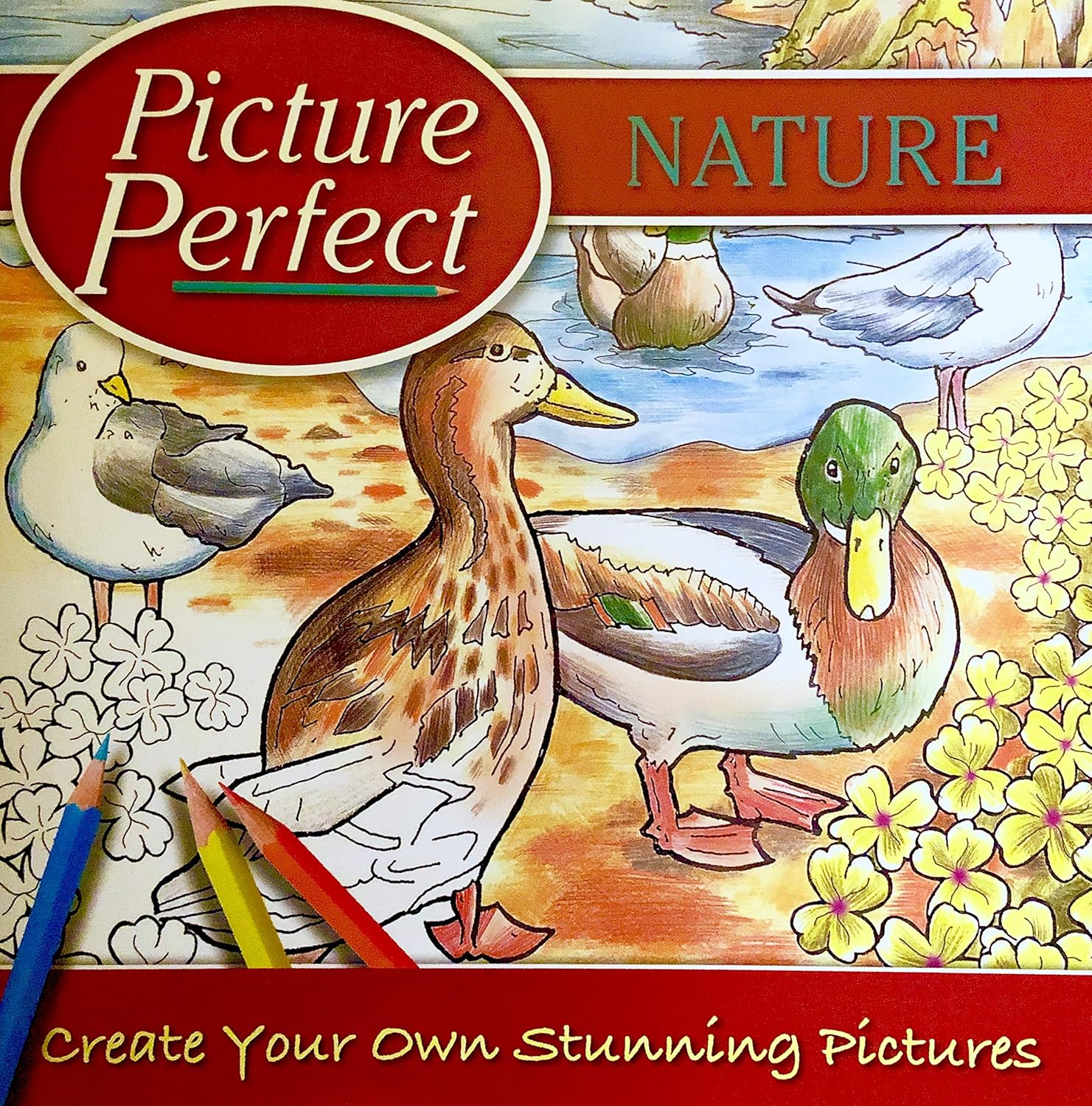 Picture Perfect -  Nature
