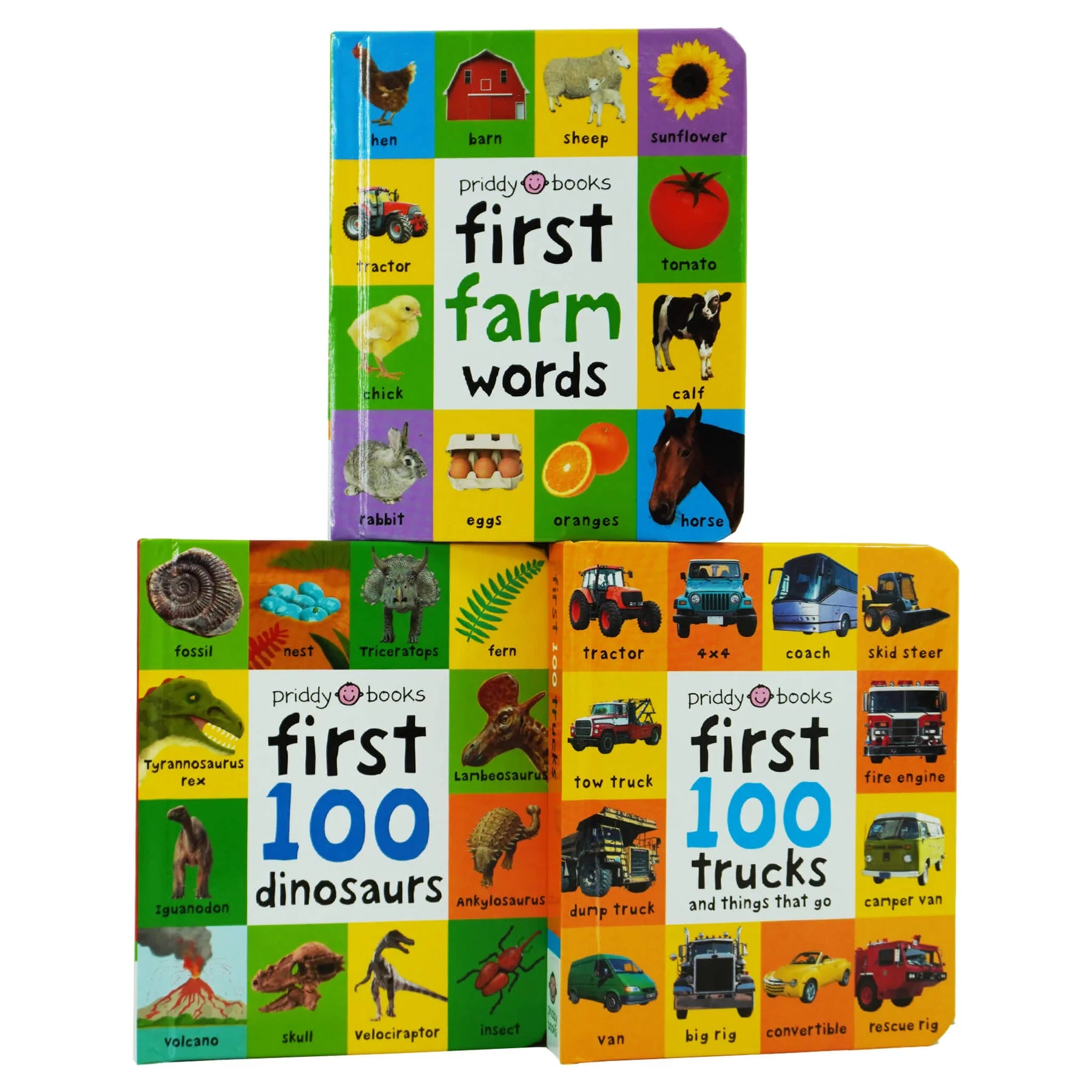 First 100 series 3 Books  Children Collection Box Set - مجموعة "أول 100" من 3 كتب للأطفال (سلسلة صندوقية)