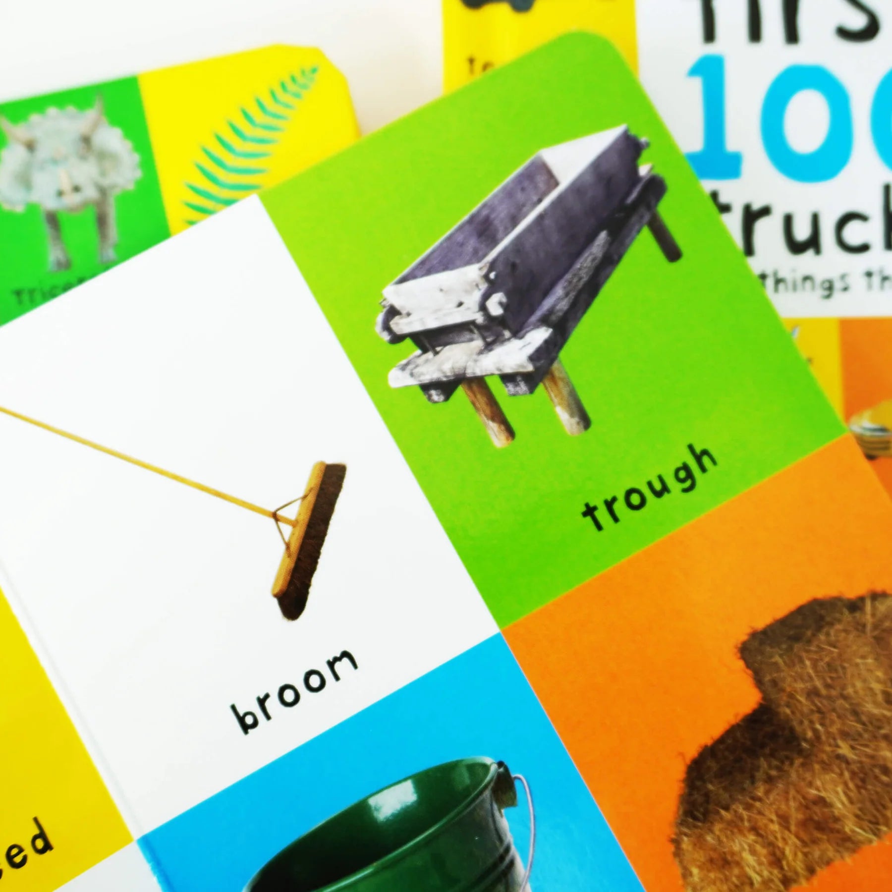 First 100 series 3 Books  Children Collection Box Set - مجموعة "أول 100" من 3 كتب للأطفال (سلسلة صندوقية)
