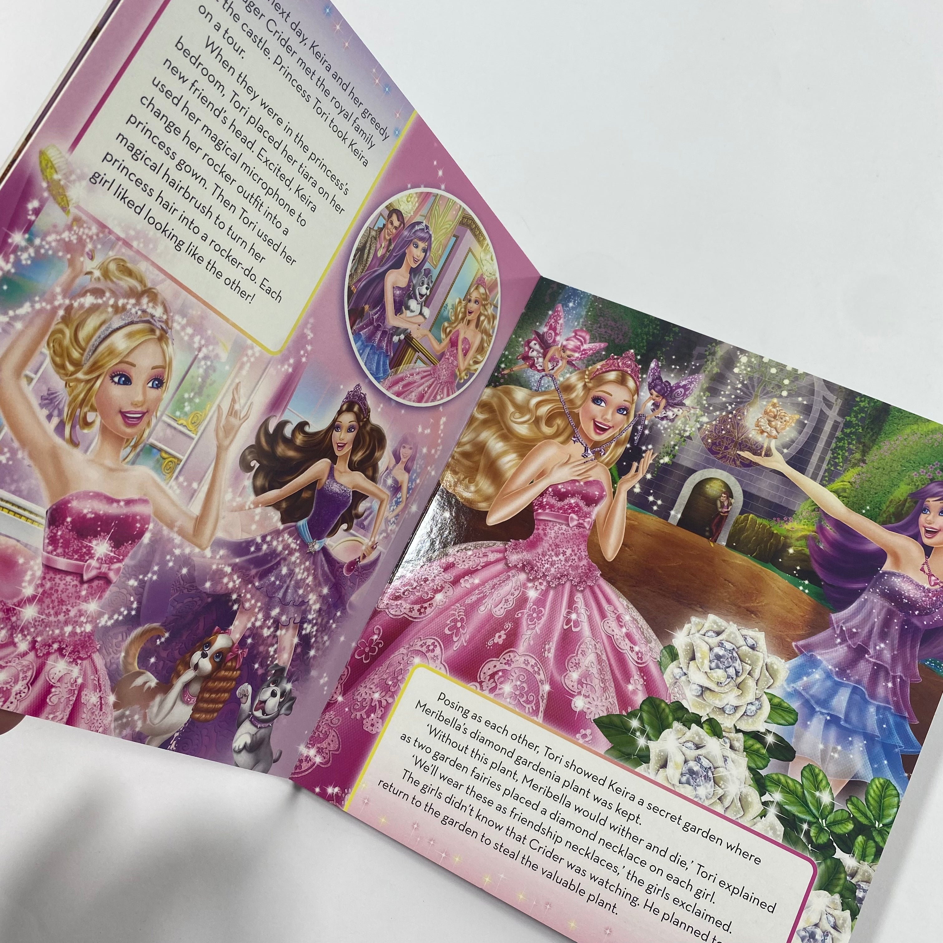 Barbie - The Princess & The Popstar Storybook