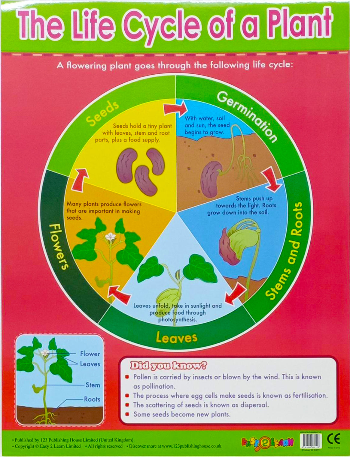 Charts - The Life Cycle of a Plant Chart