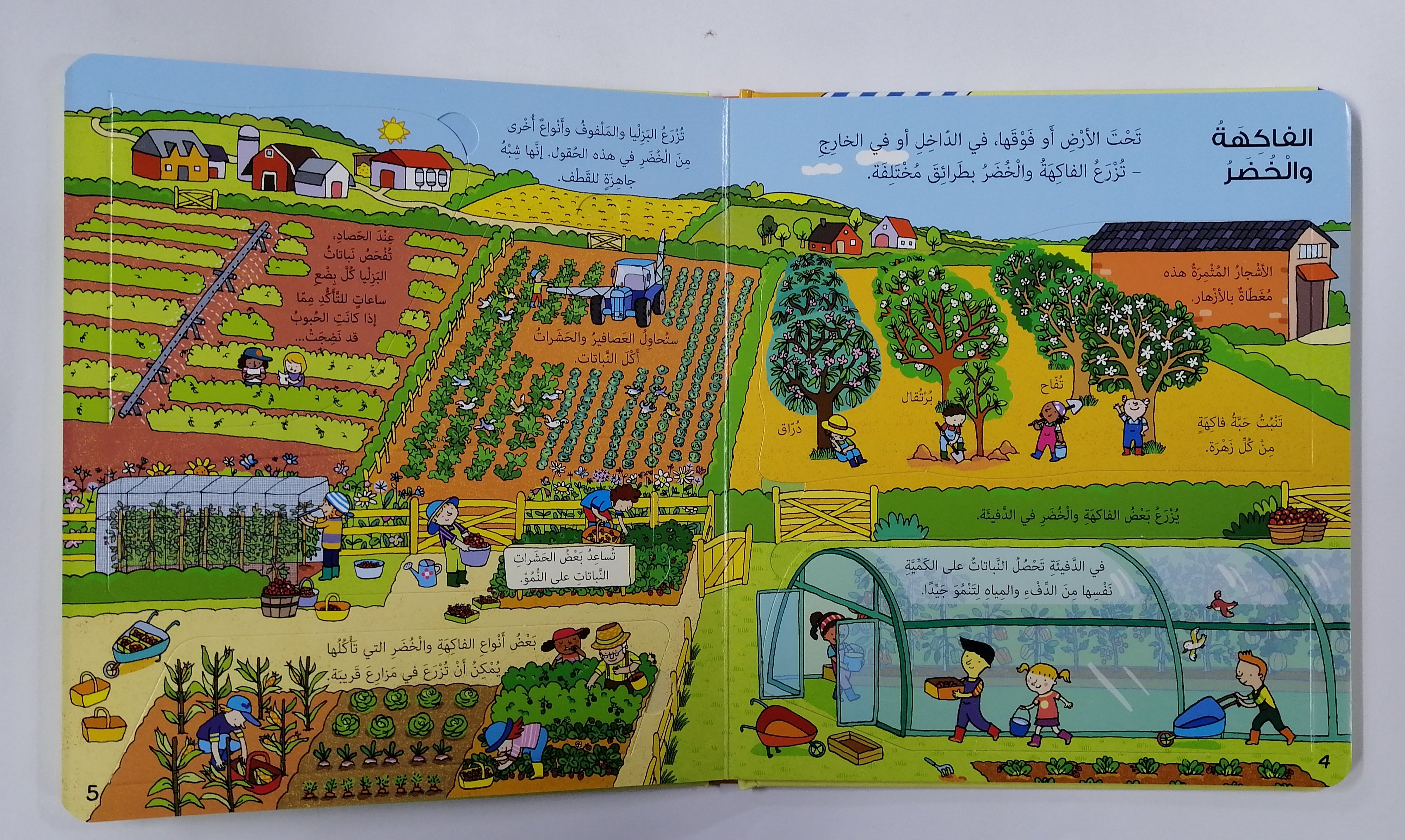 انظر داخل الطعام: مع أكثر من 60 طية تذكر ما وراءه: انظر داخل الطعام: بأكثر من 60 طية تكشف ما وراءه.