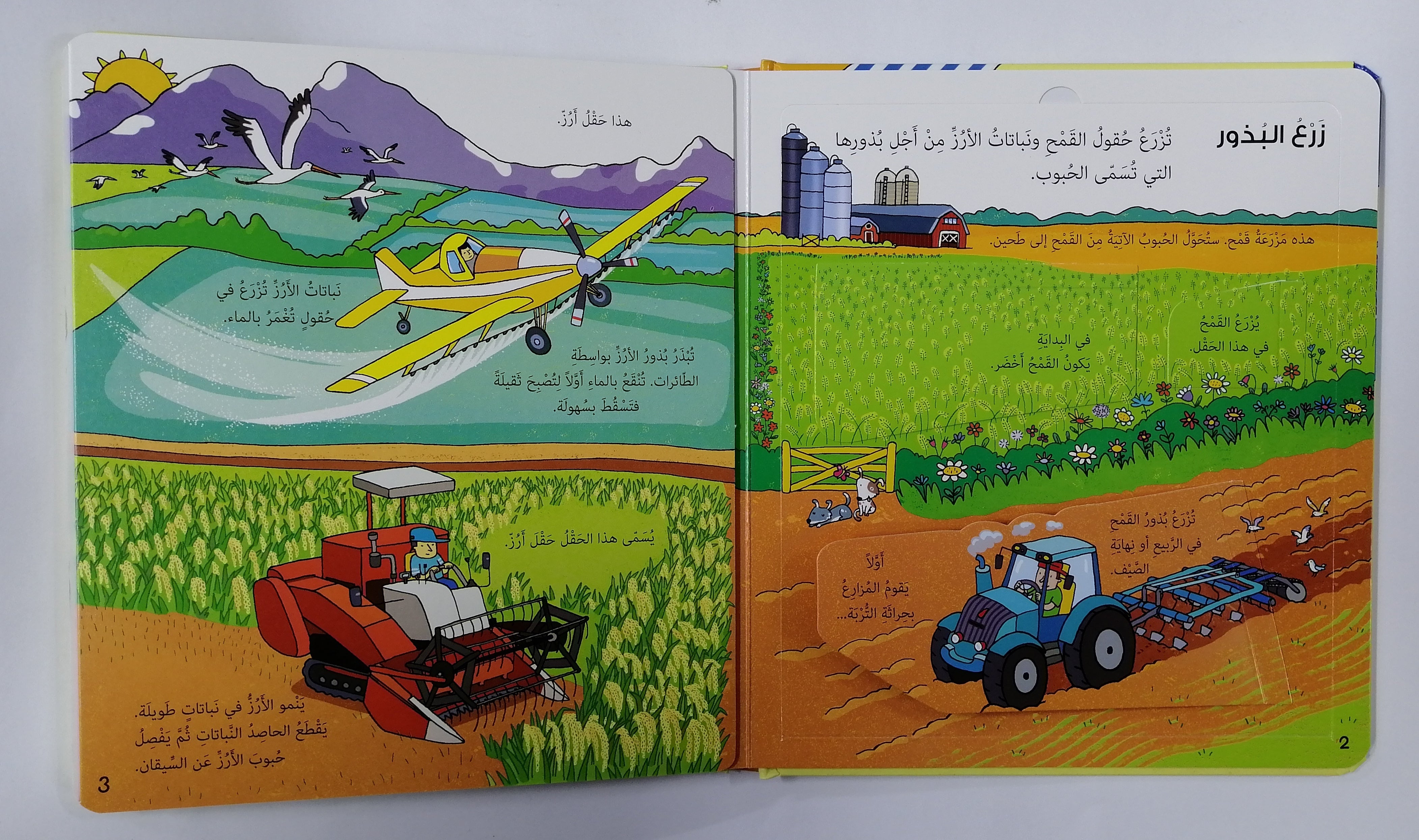 انظر داخل الطعام: مع أكثر من 60 طية تذكر ما وراءه: انظر داخل الطعام: بأكثر من 60 طية تكشف ما وراءه.