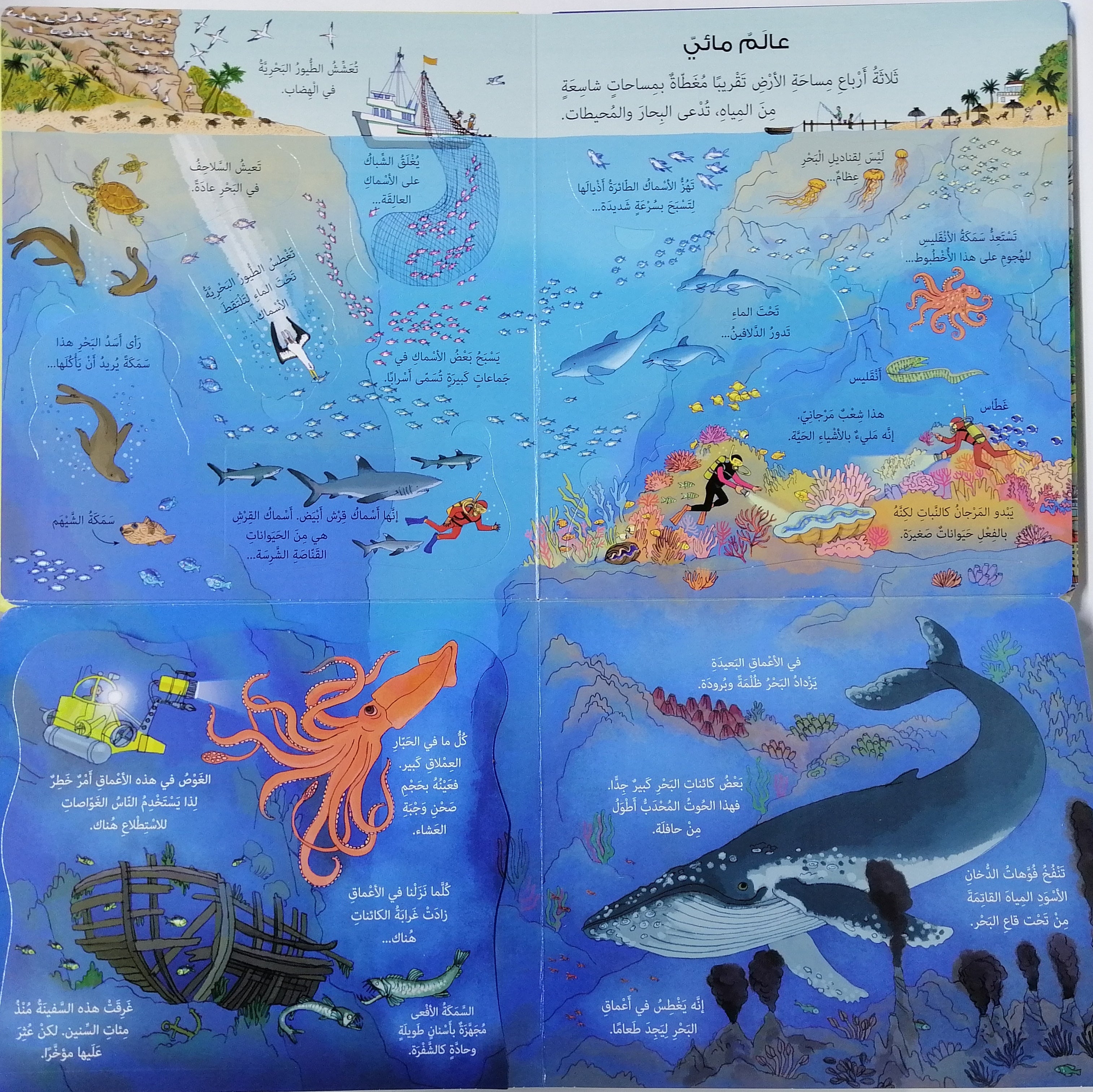 انظر داخل عالمنا؛ مع أكثر من 80 طية لكشف ما وراءها - Look Inside Our World; With over 80 Folds To Reveal What's Behind It