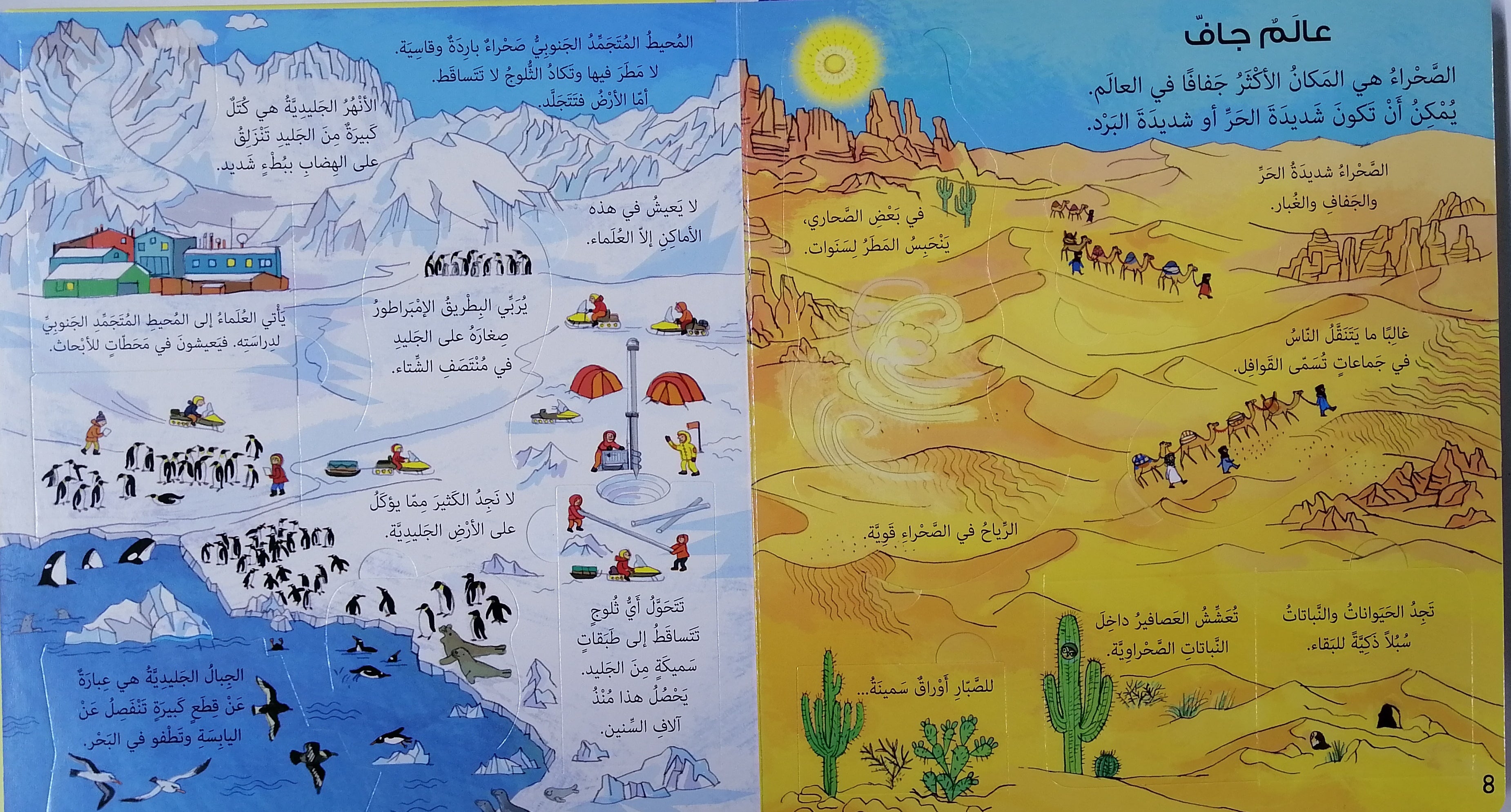 انظر داخل عالمنا؛ مع أكثر من 80 طية لكشف ما وراءها - Look Inside Our World; With over 80 Folds To Reveal What's Behind It