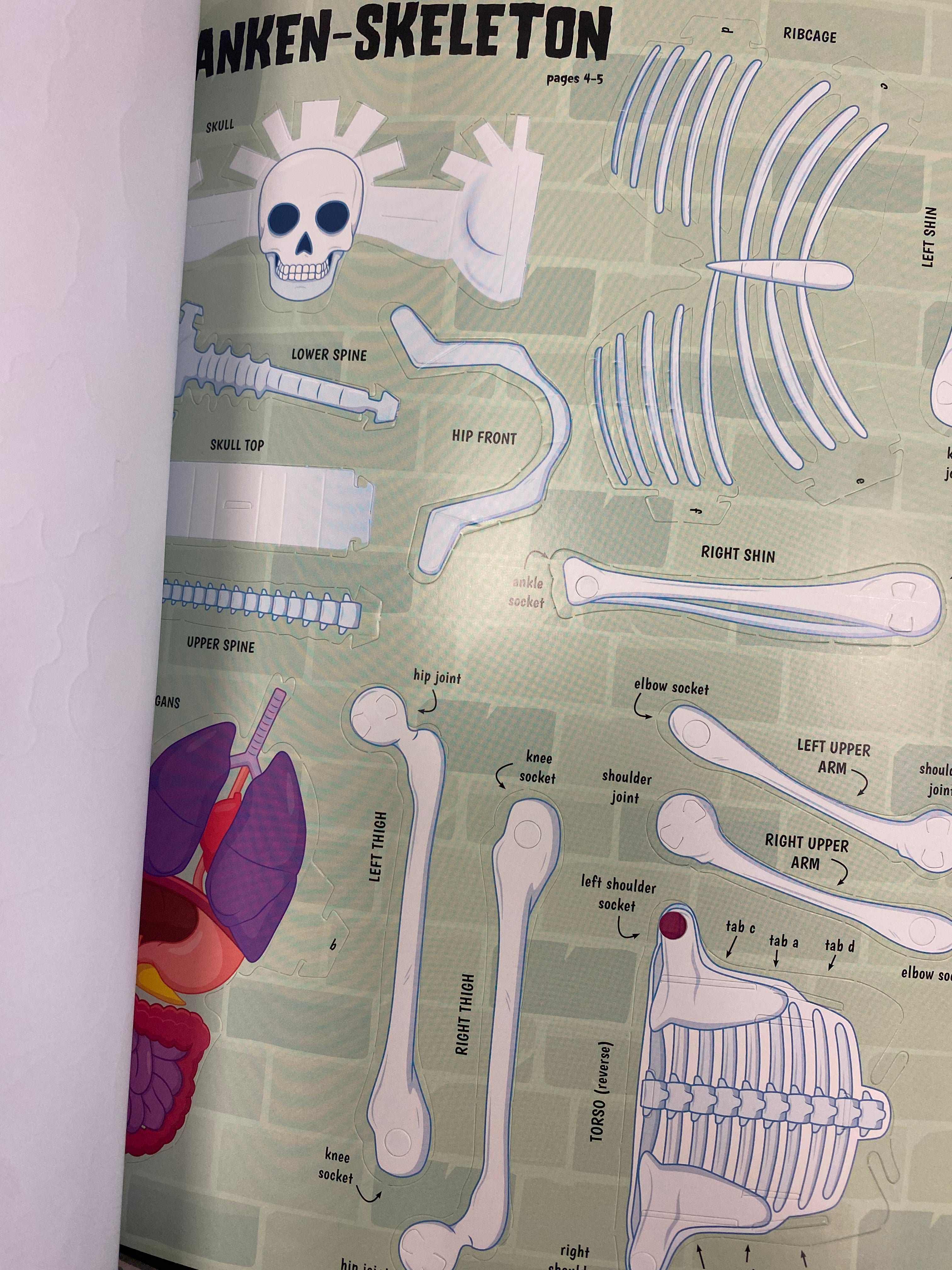 The Human Body A Monster Activity Book