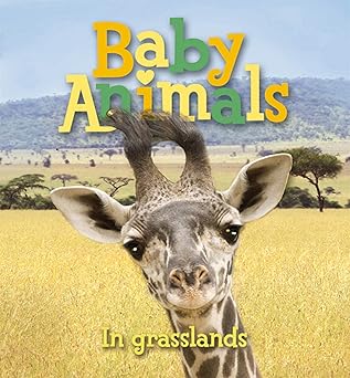 Baby Animals in Grasslands (Baby Animals (Kingfisher) - صغار الحيوانات في الأراضي العشبية (صغار الحيوانات (كتاب الرفراف))