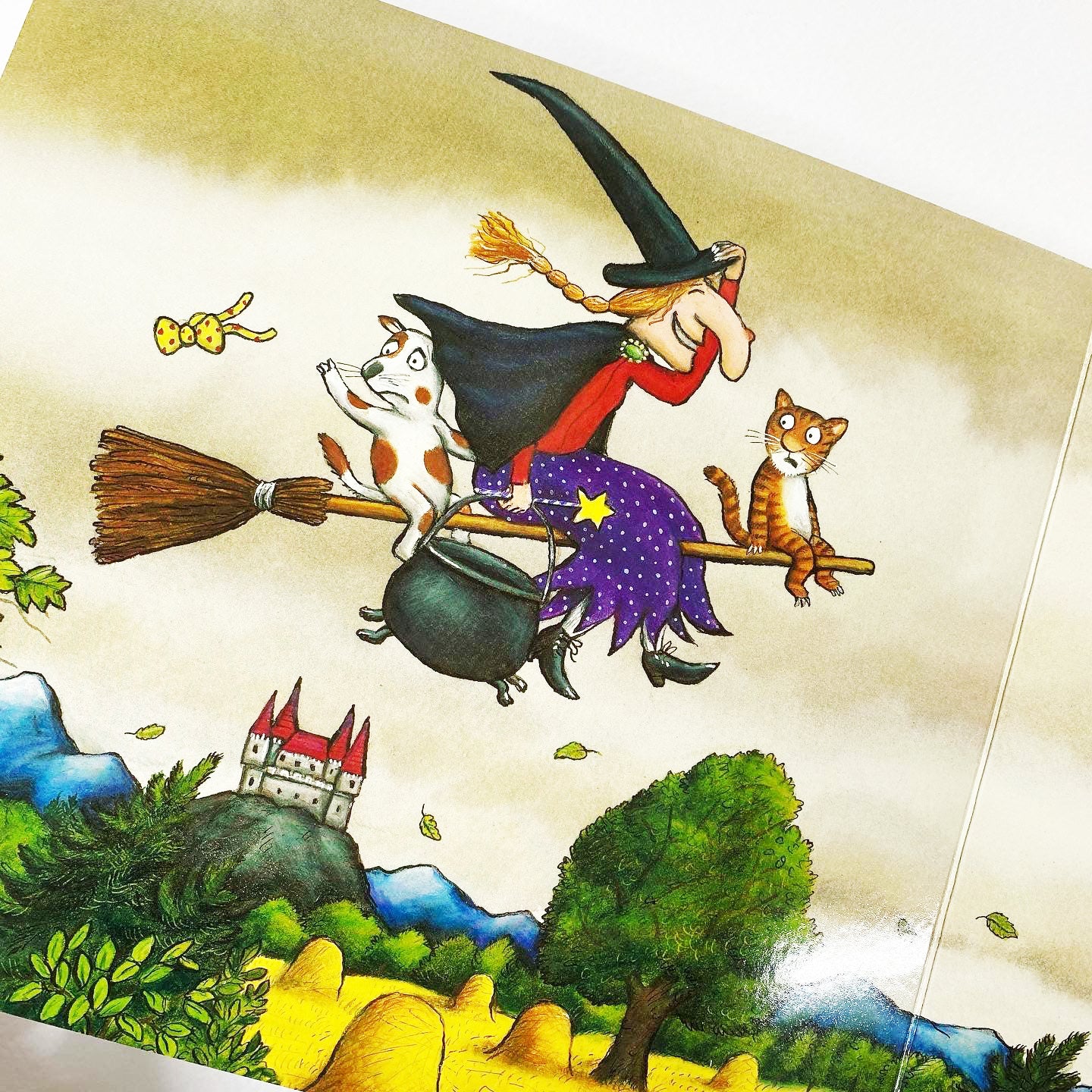 Julia Donaldson - Room On The Broom - Small Board Book - جوليا دونالدسون - غرفة على المكنسة - كتاب صغير الحجم