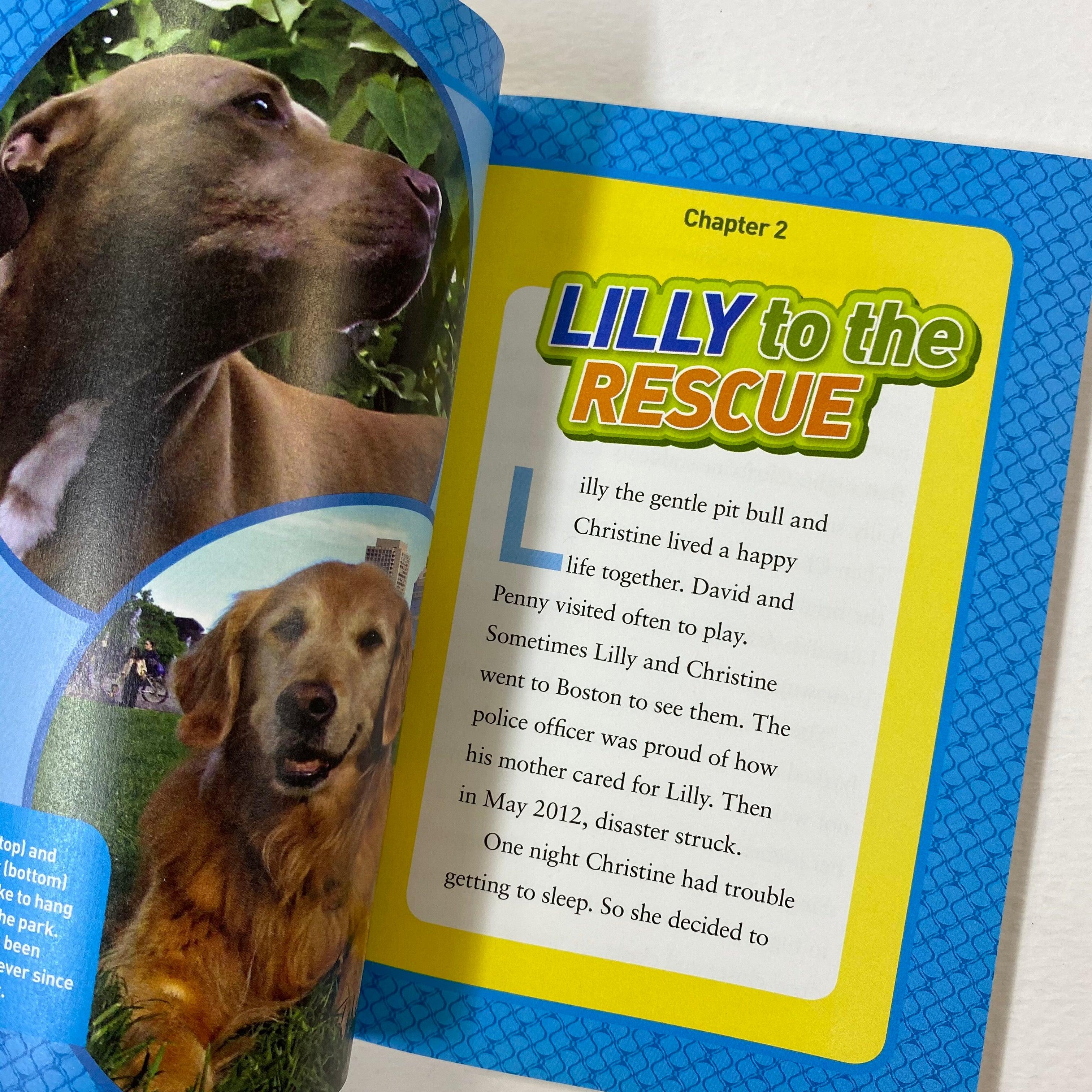 National Geographic Kids Chapters: Courageous Canine: And More True Stories of Amazing Animal Heroes - Spectrawide Bookstore
