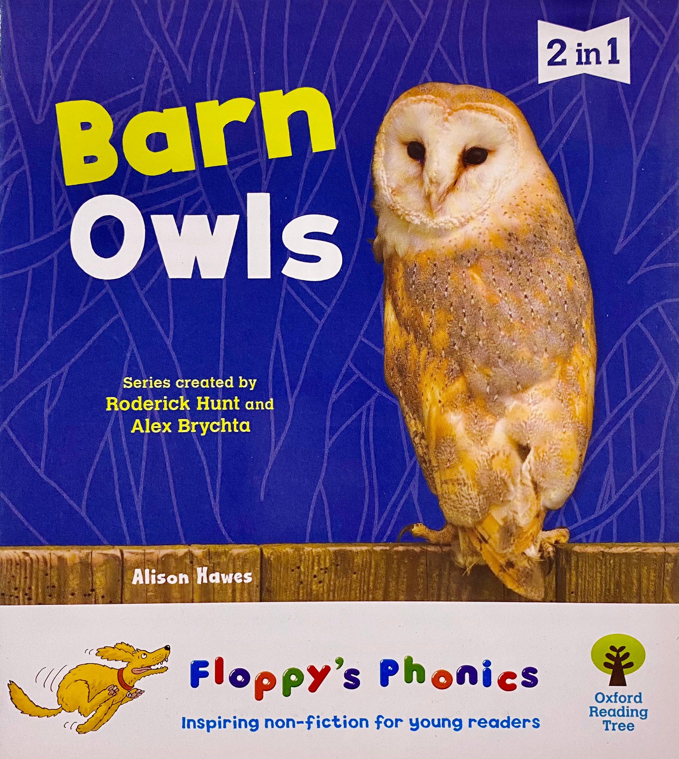 Floppy's Phonics - Barn Owls 2 in 1 - Spectrawide Bookstore