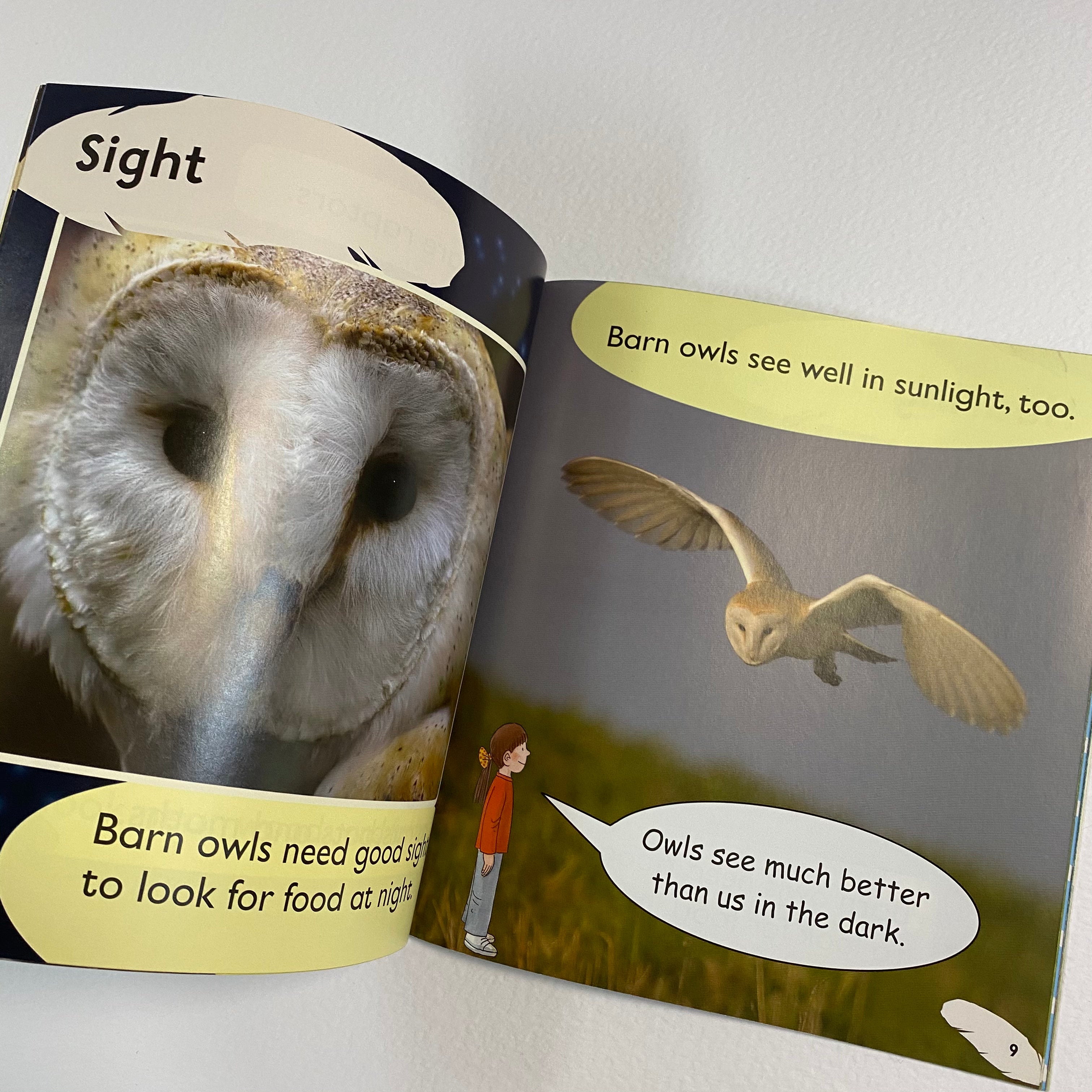 Floppy's Phonics - Barn Owls 2 in 1 - Spectrawide Bookstore