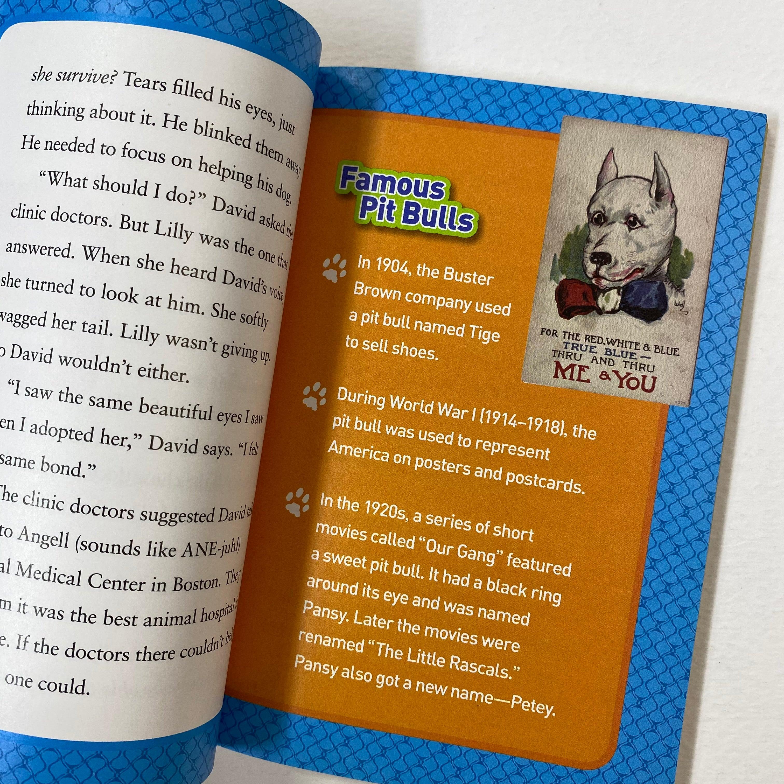 National Geographic Kids Chapters: Courageous Canine: And More True Stories of Amazing Animal Heroes - Spectrawide Bookstore
