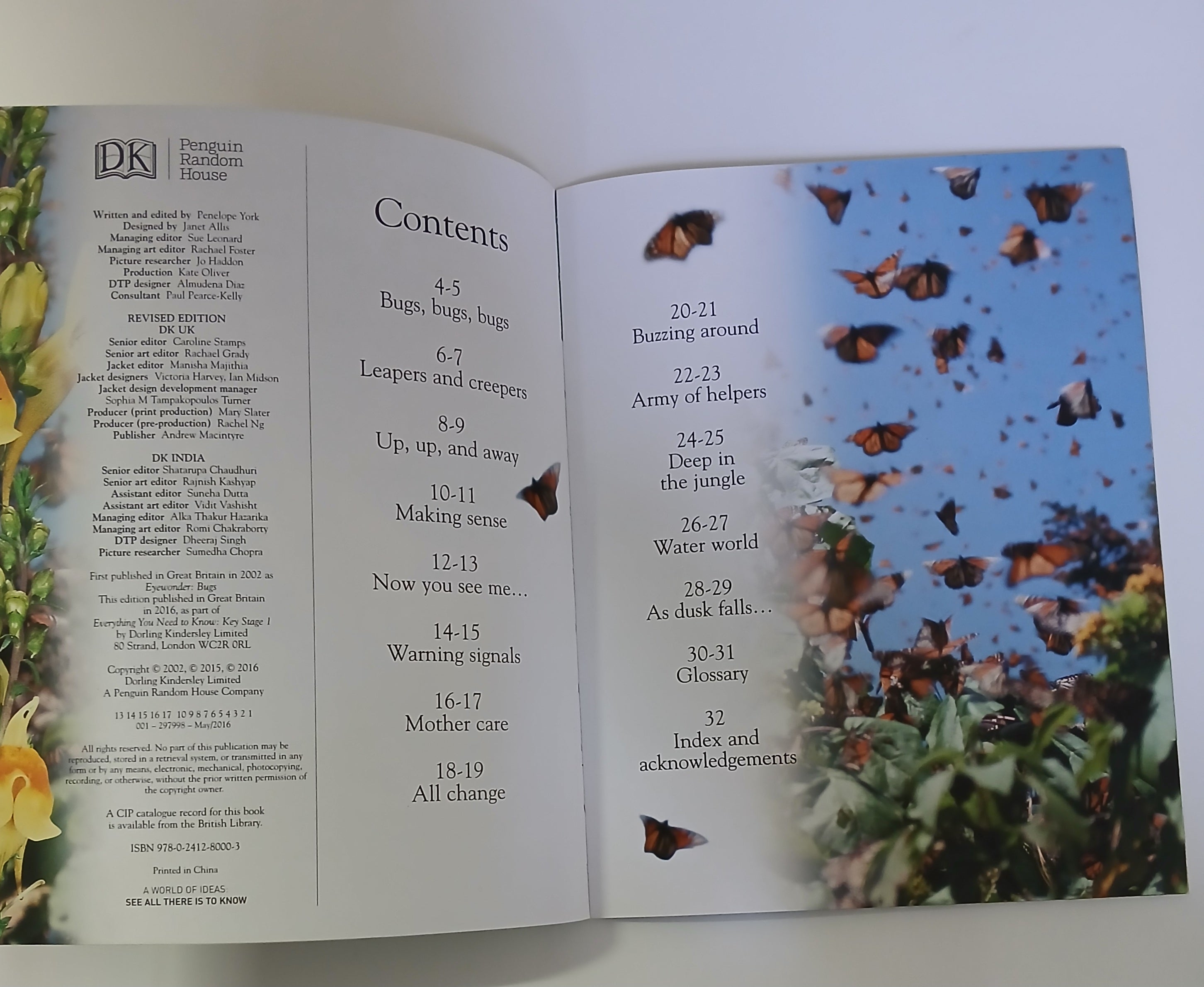 Everything I Need To Know For School KS1 - Bugs- Level 1  Age 5-7