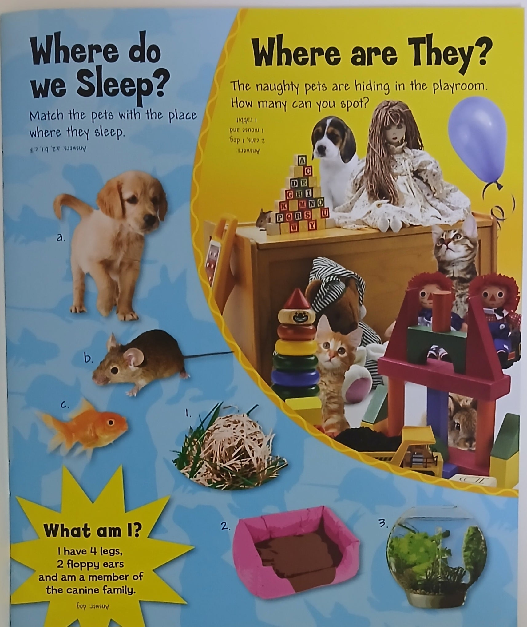 Baby Animals: Playful Pets - Sticker And  Activity Book