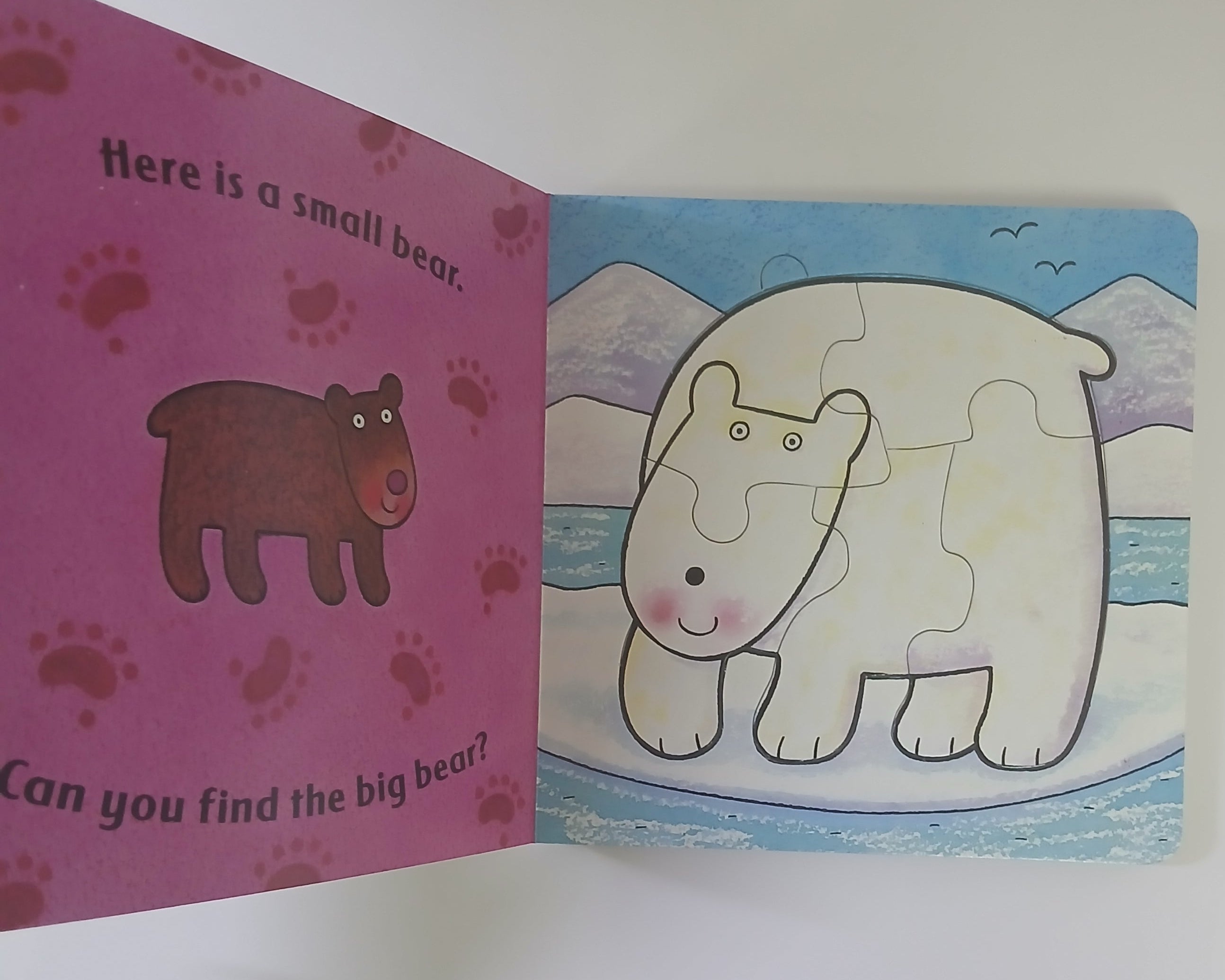 الدب يشعر بالخجل