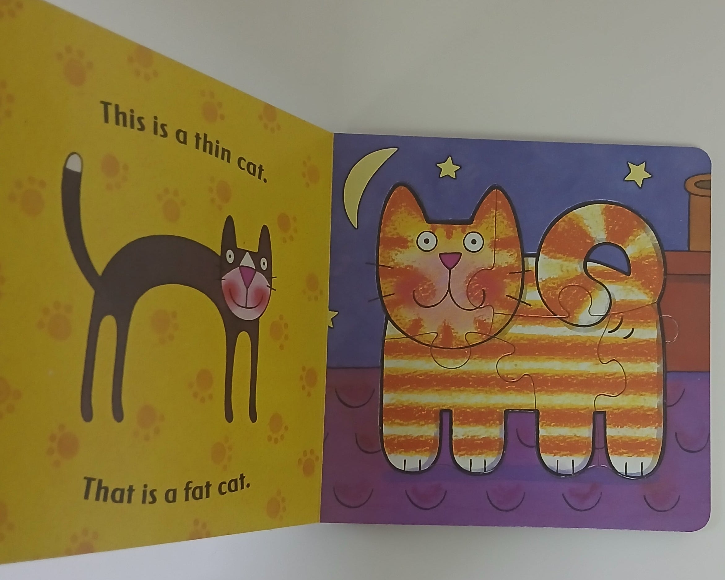 الدب يشعر بالخجل