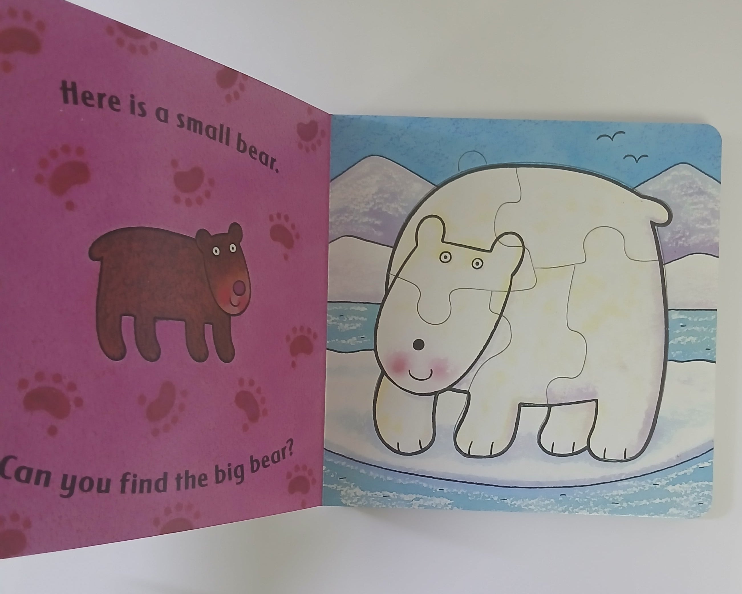 الدب يشعر بالخجل