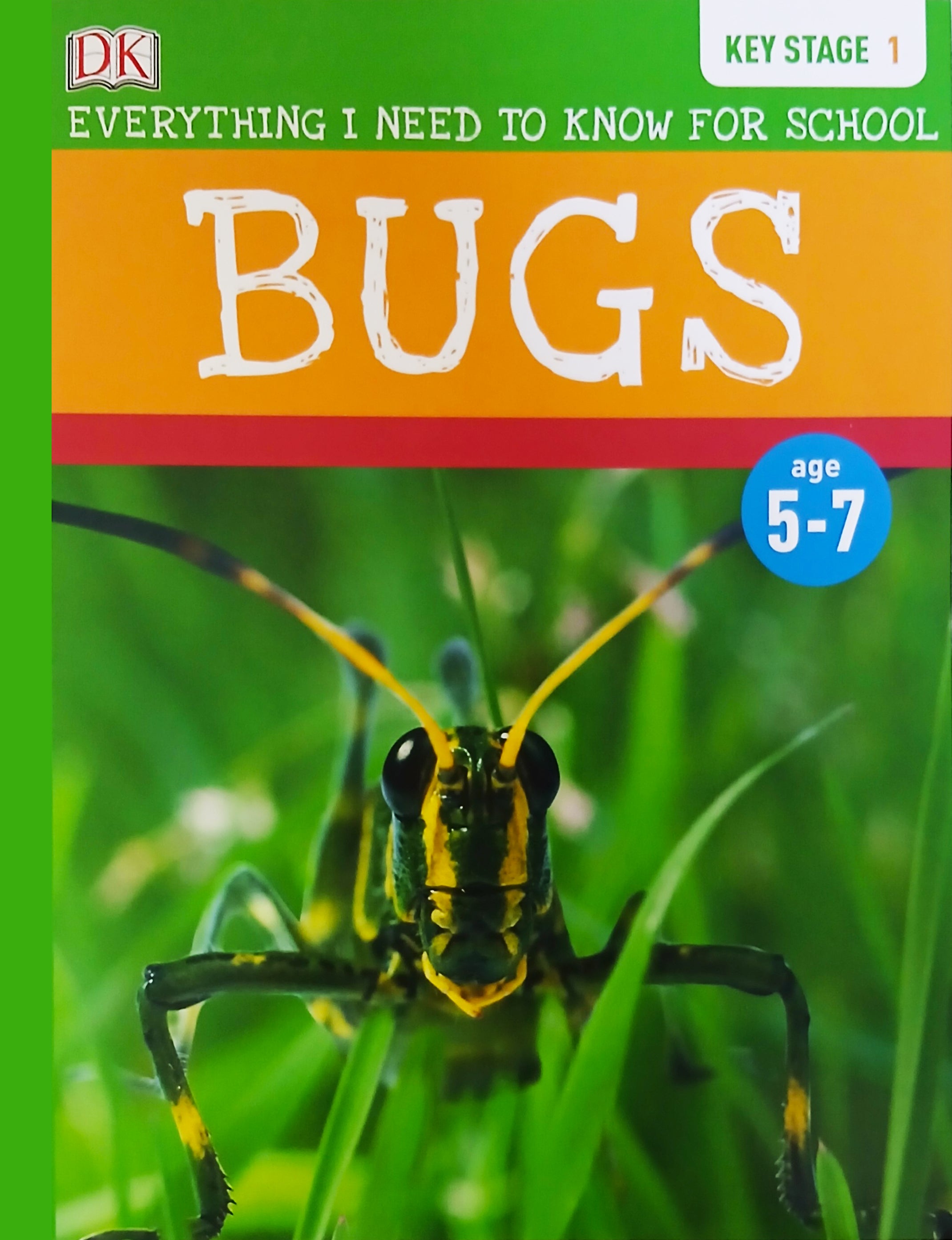 Everything I Need To Know For School KS1 - Bugs- Level 1  Age 5-7
