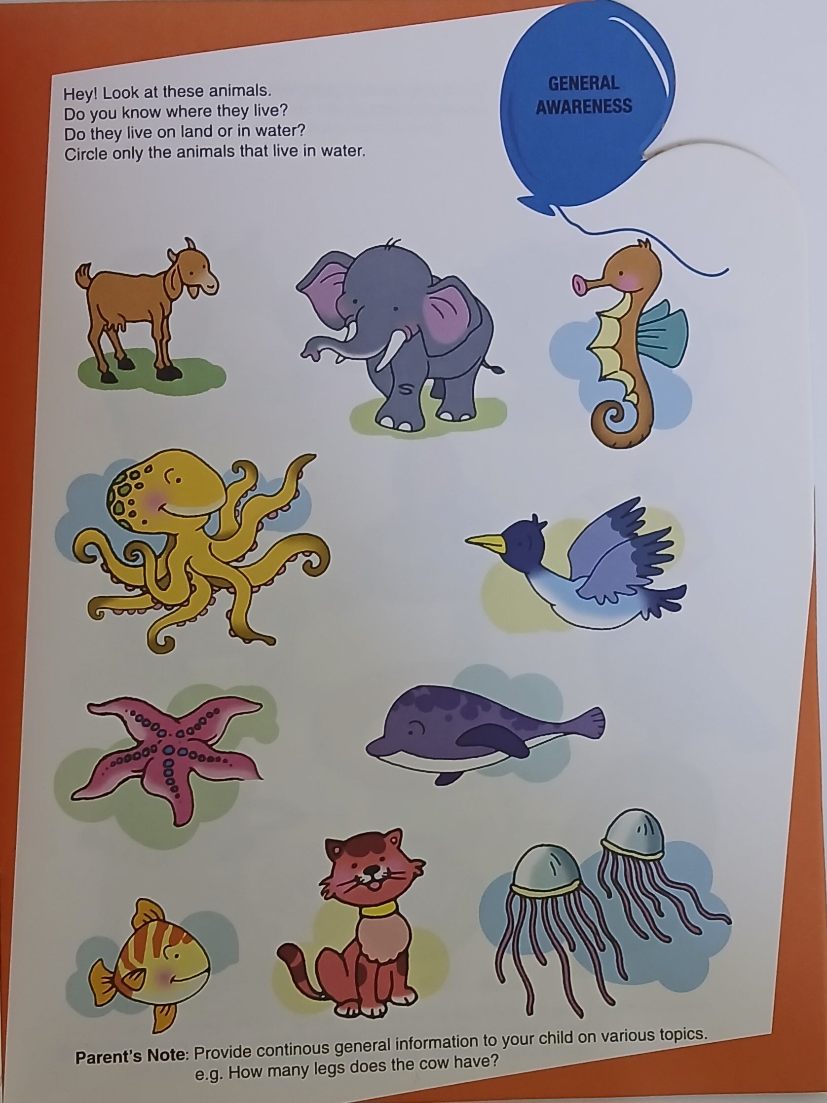 Smart Kids - Developmental Thinking