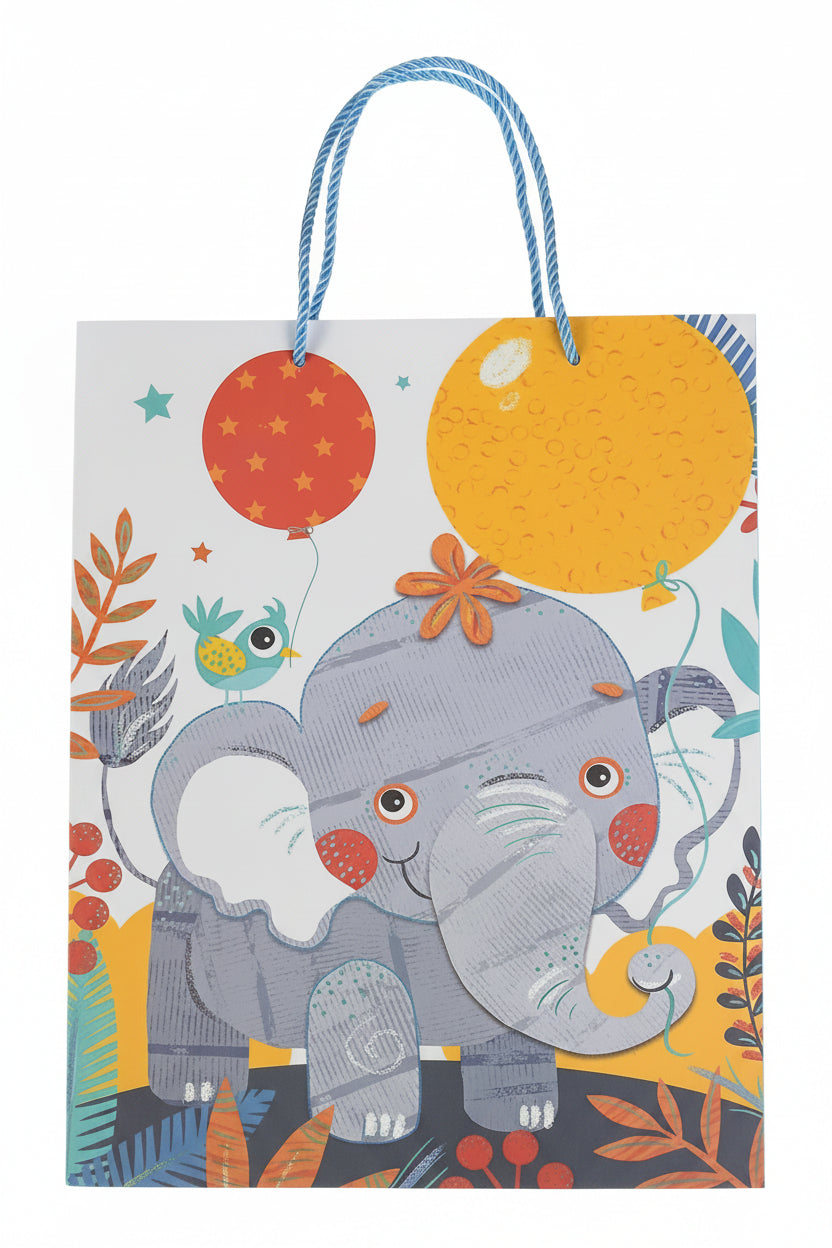 Assorted Gift Bag - Medium Size