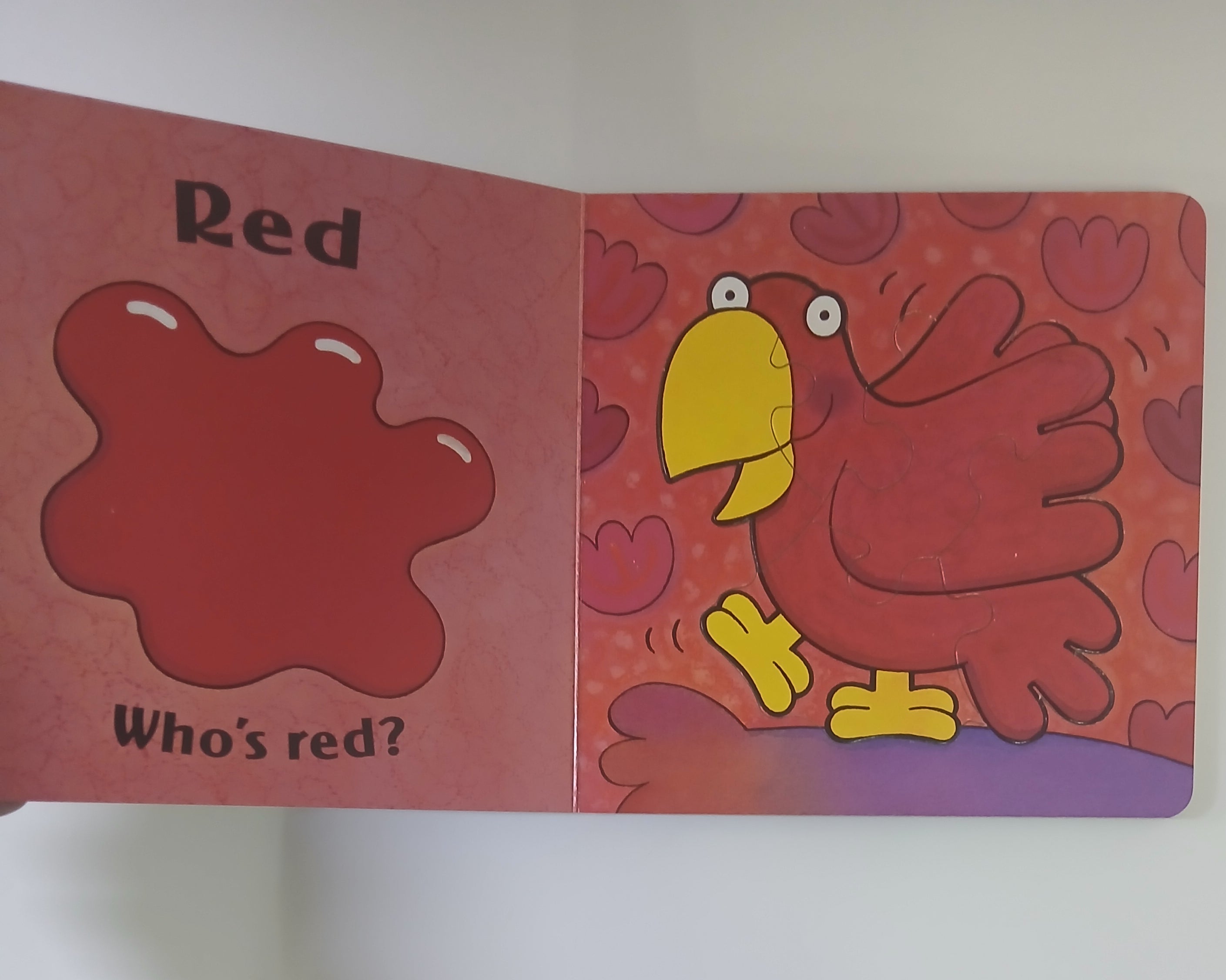 الدب يشعر بالخجل