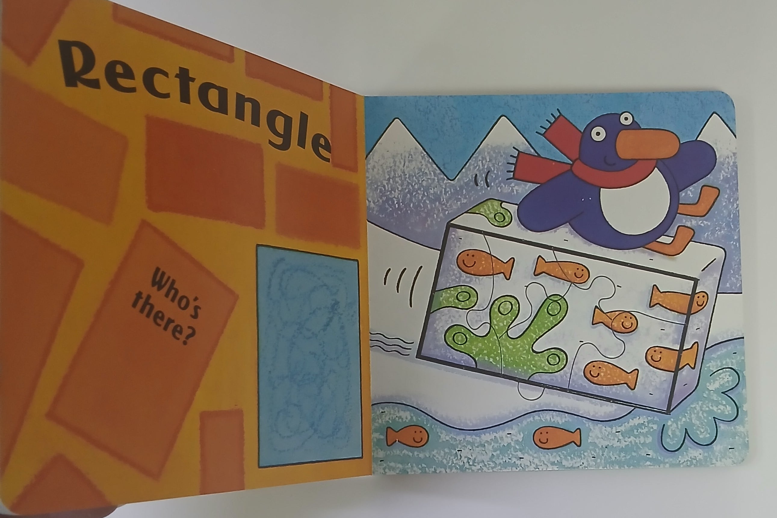 الدب يشعر بالخجل